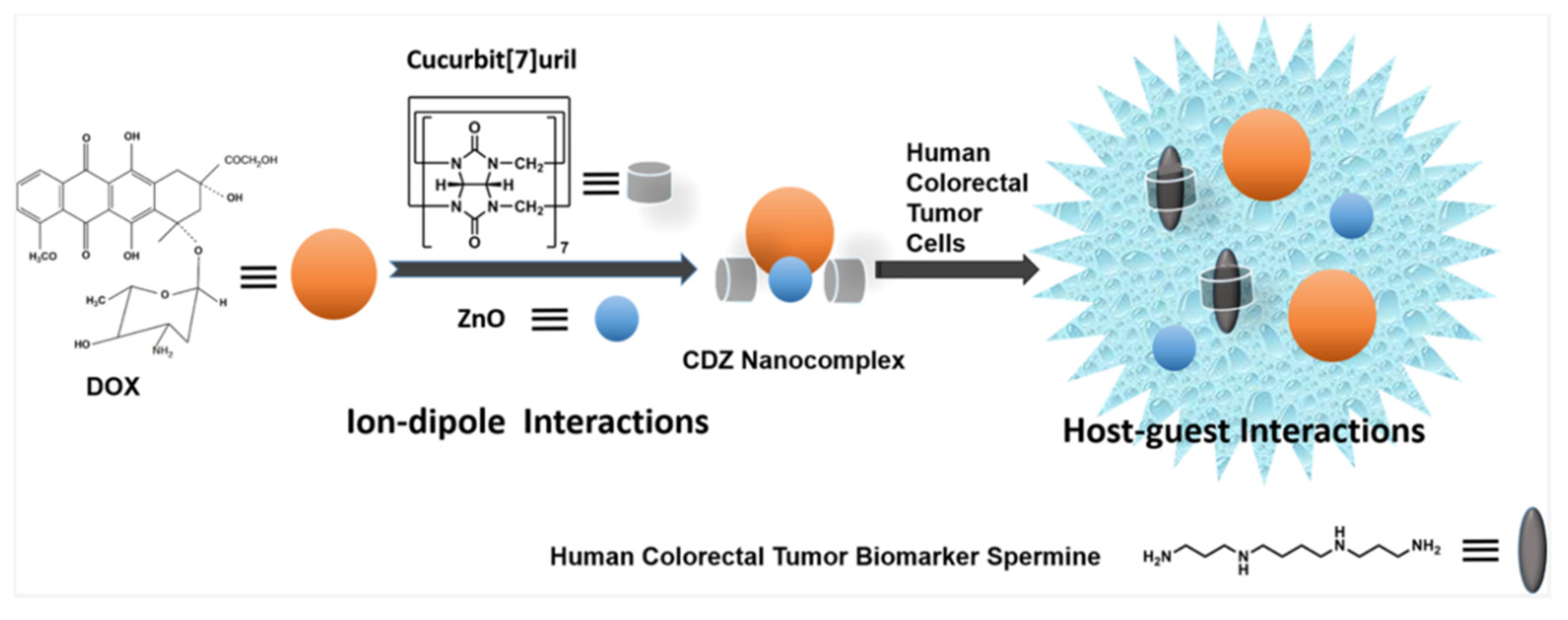 Polymers 14 04855 g018 Polymers 14 04855 g018