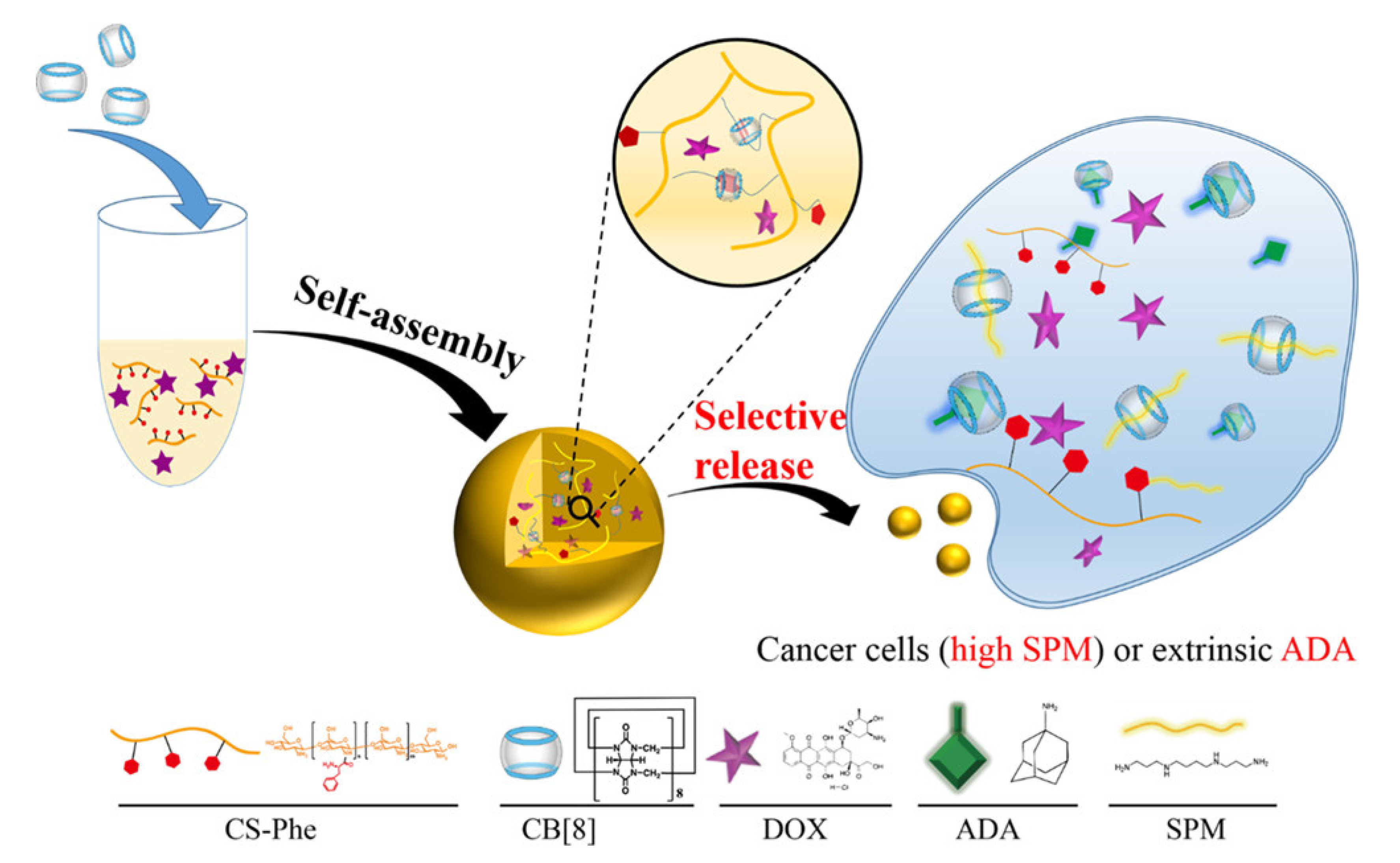 Polymers 14 04855 g019 Polymers 14 04855 g019