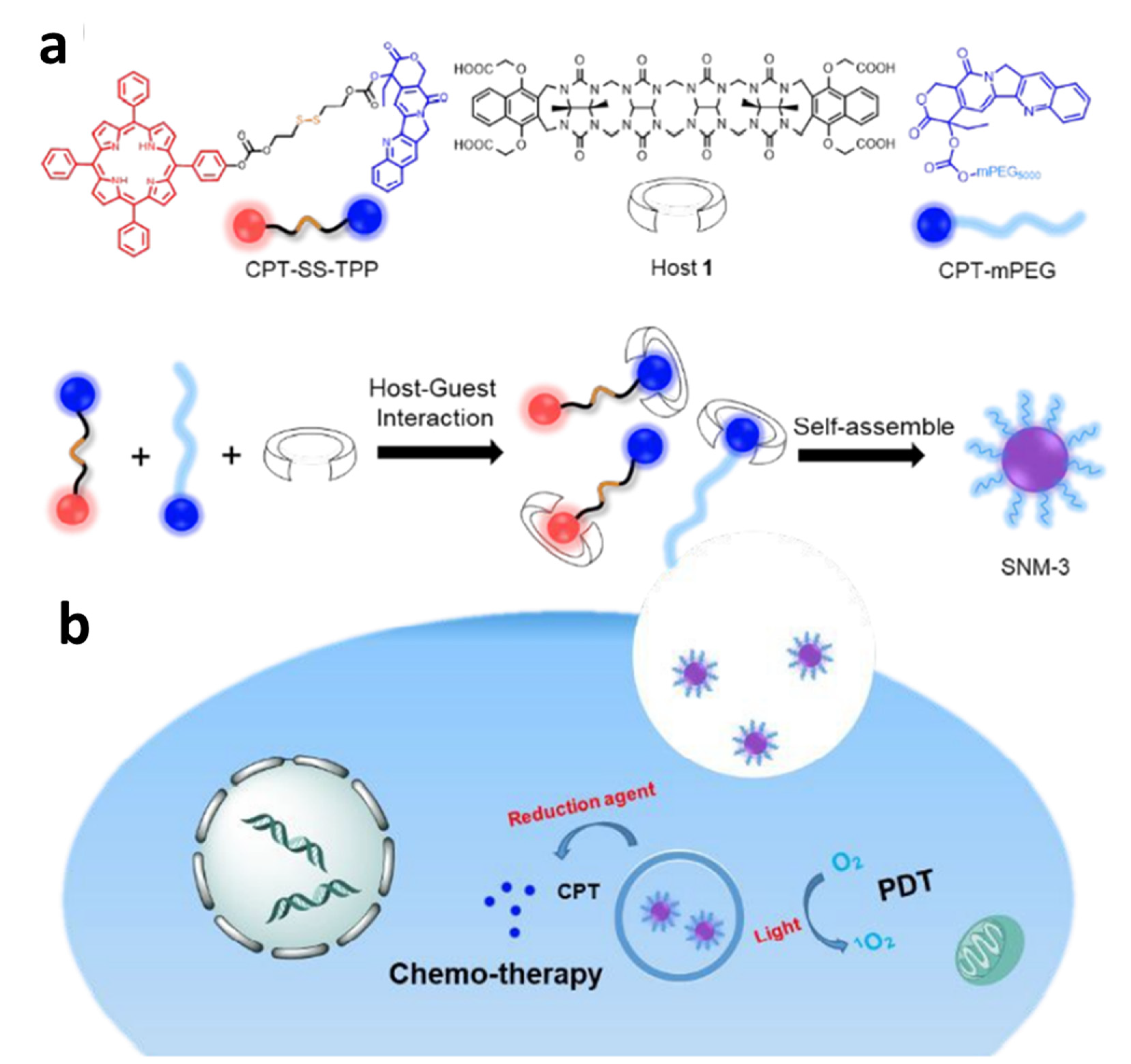 Polymers 14 04855 g022 Polymers 14 04855 g022