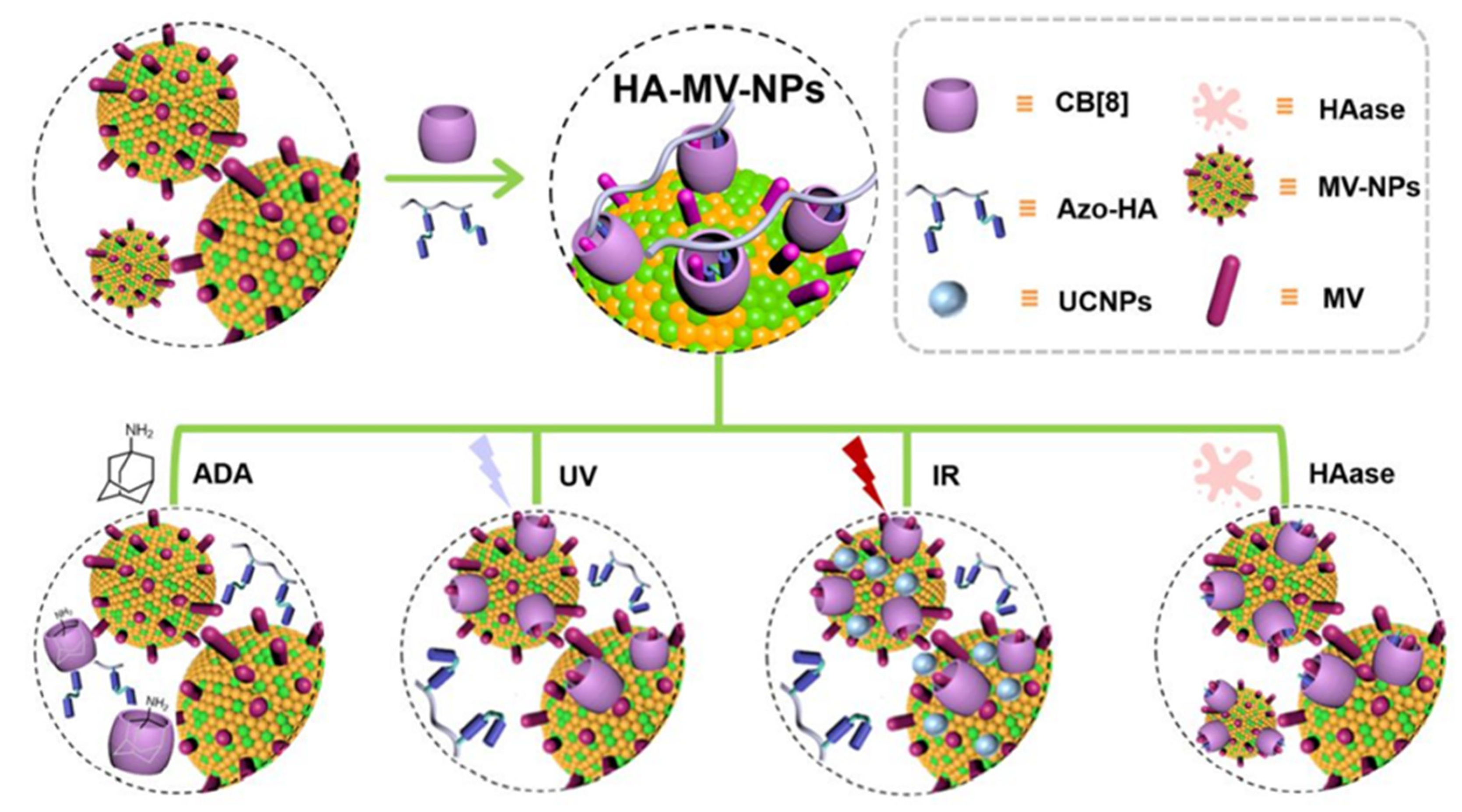 Polymers 14 04855 g023 Polymers 14 04855 g023