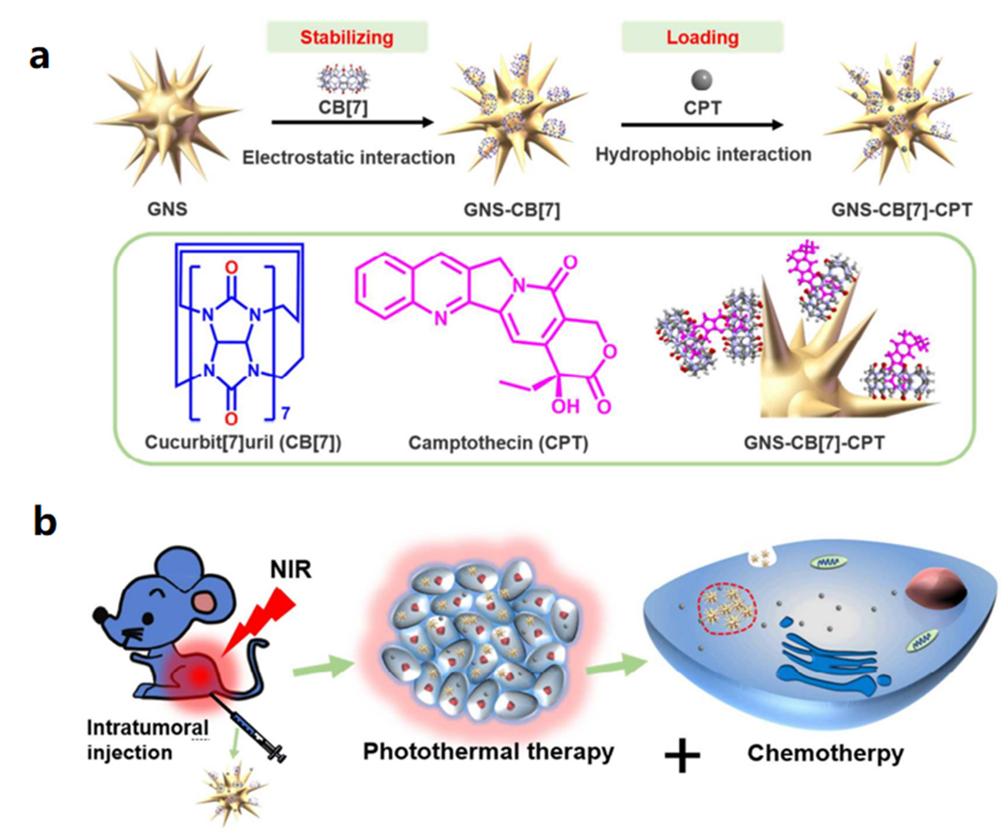 Polymers 14 04855 g024 Polymers 14 04855 g024