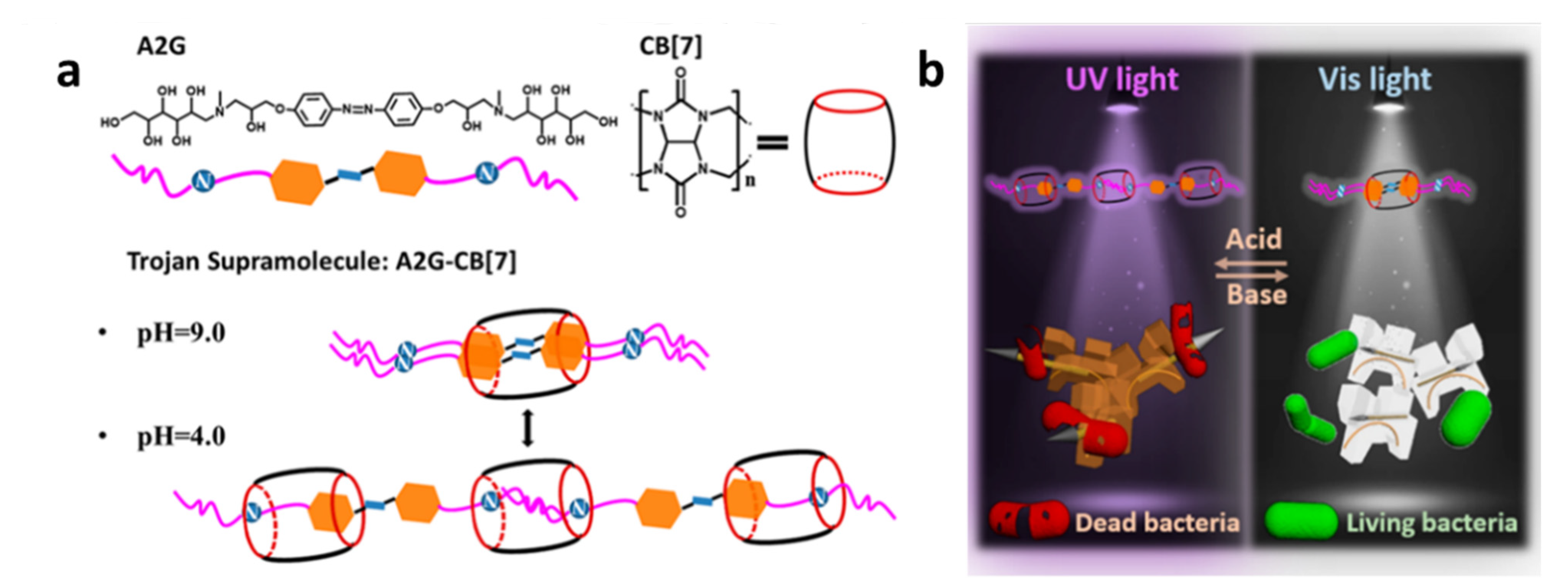 Polymers 14 04855 g027 Polymers 14 04855 g027