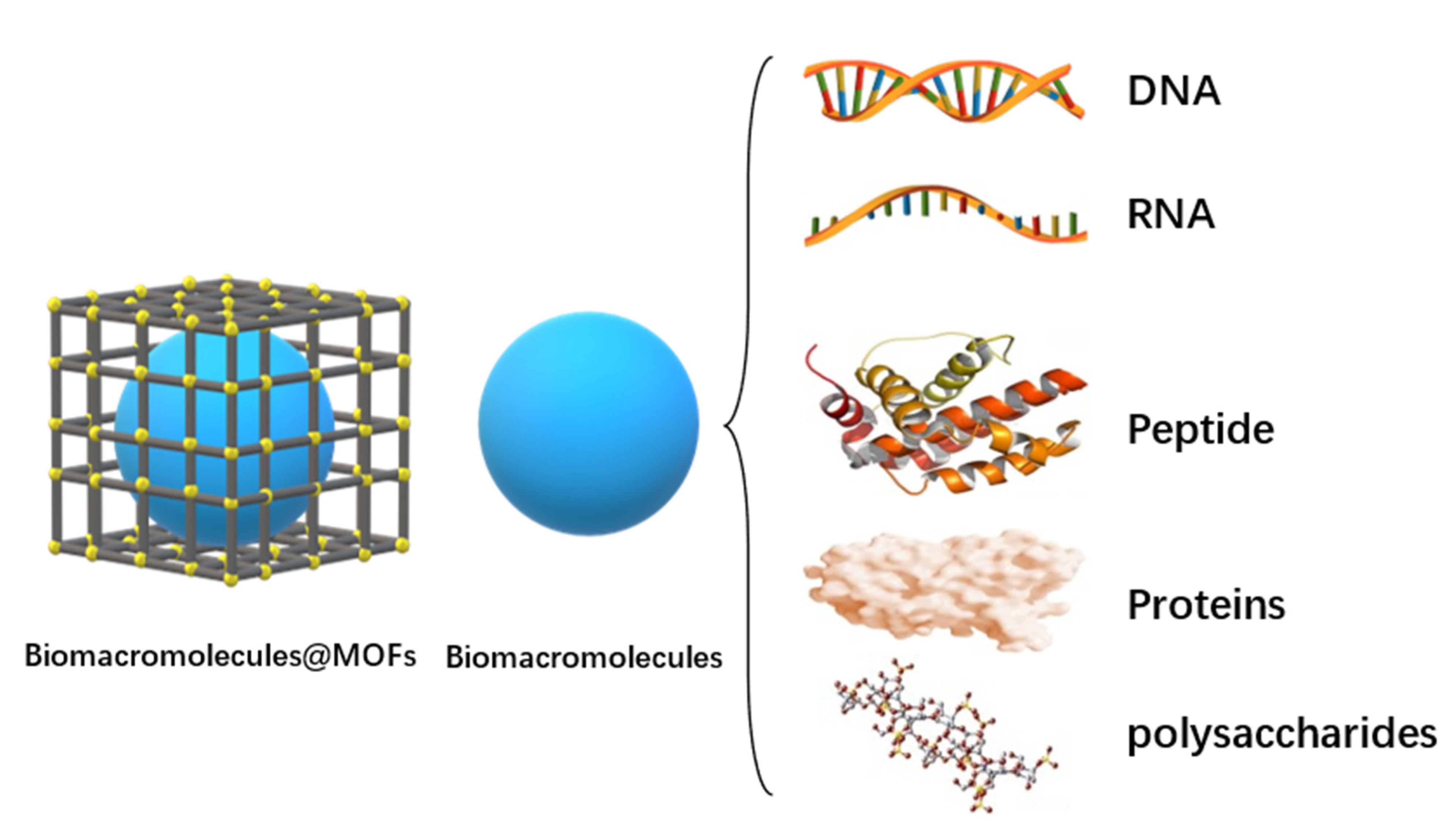Polymers 14 04855 g028 Polymers 14 04855 g028