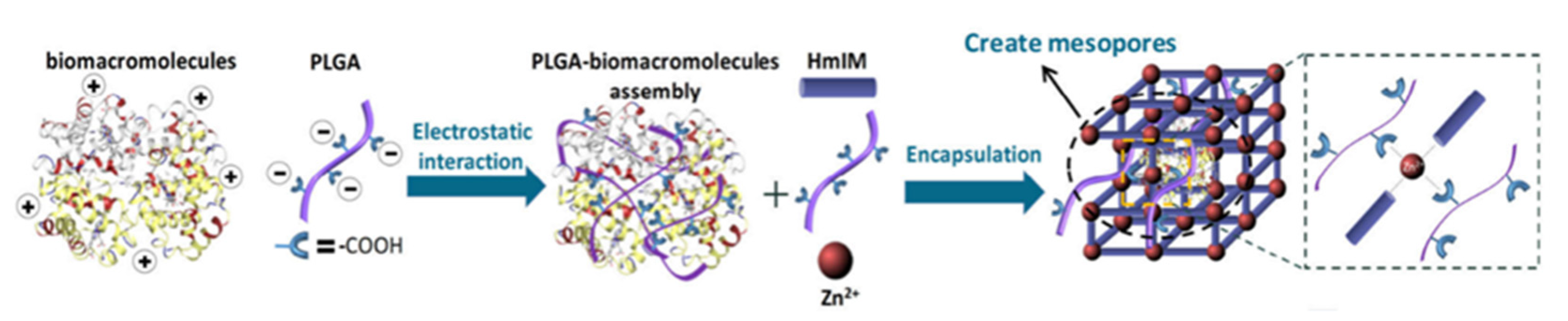 Polymers 14 04855 g031 Polymers 14 04855 g031