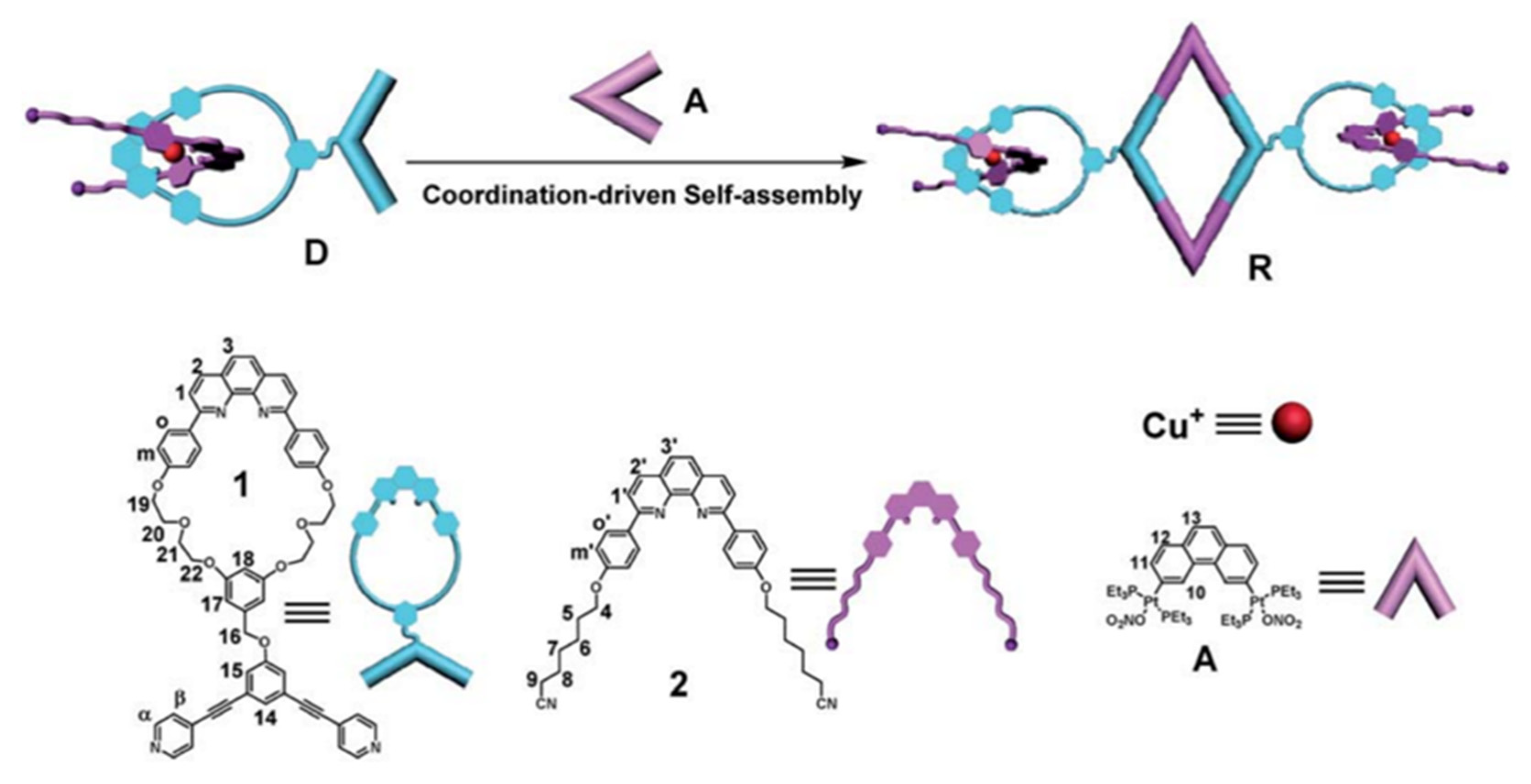 Polymers 14 04855 g037 Polymers 14 04855 g037