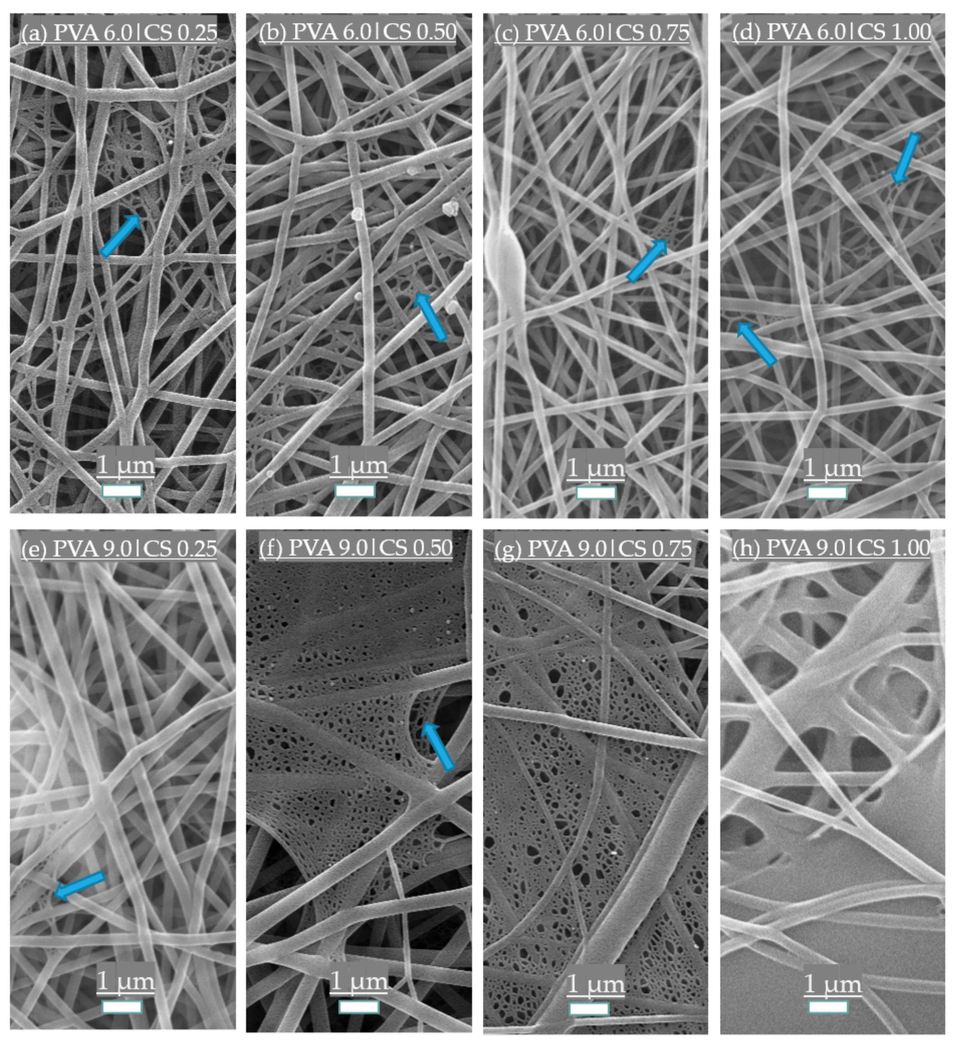 Polymers 14 04856 g001