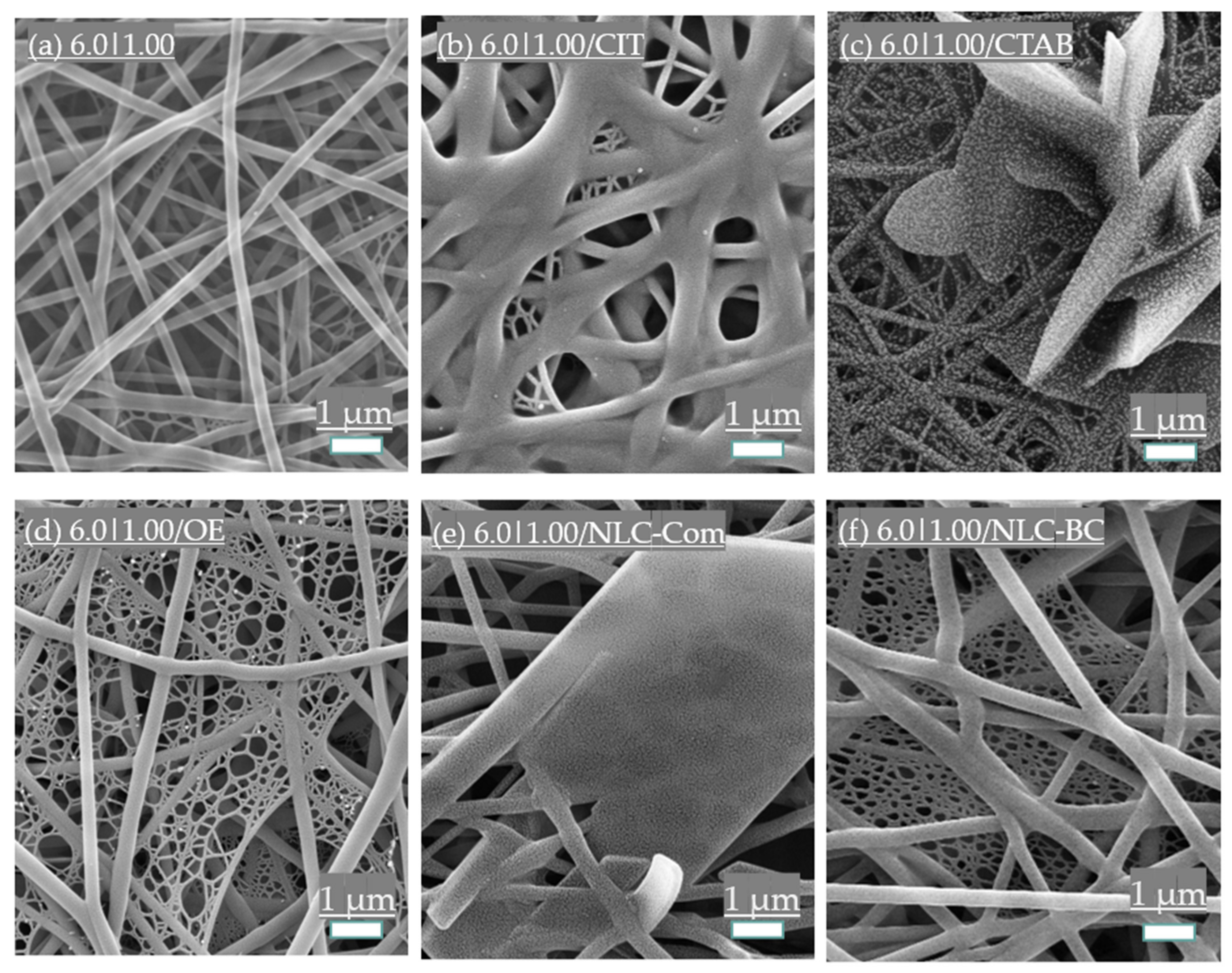 Polymers 14 04856 g009