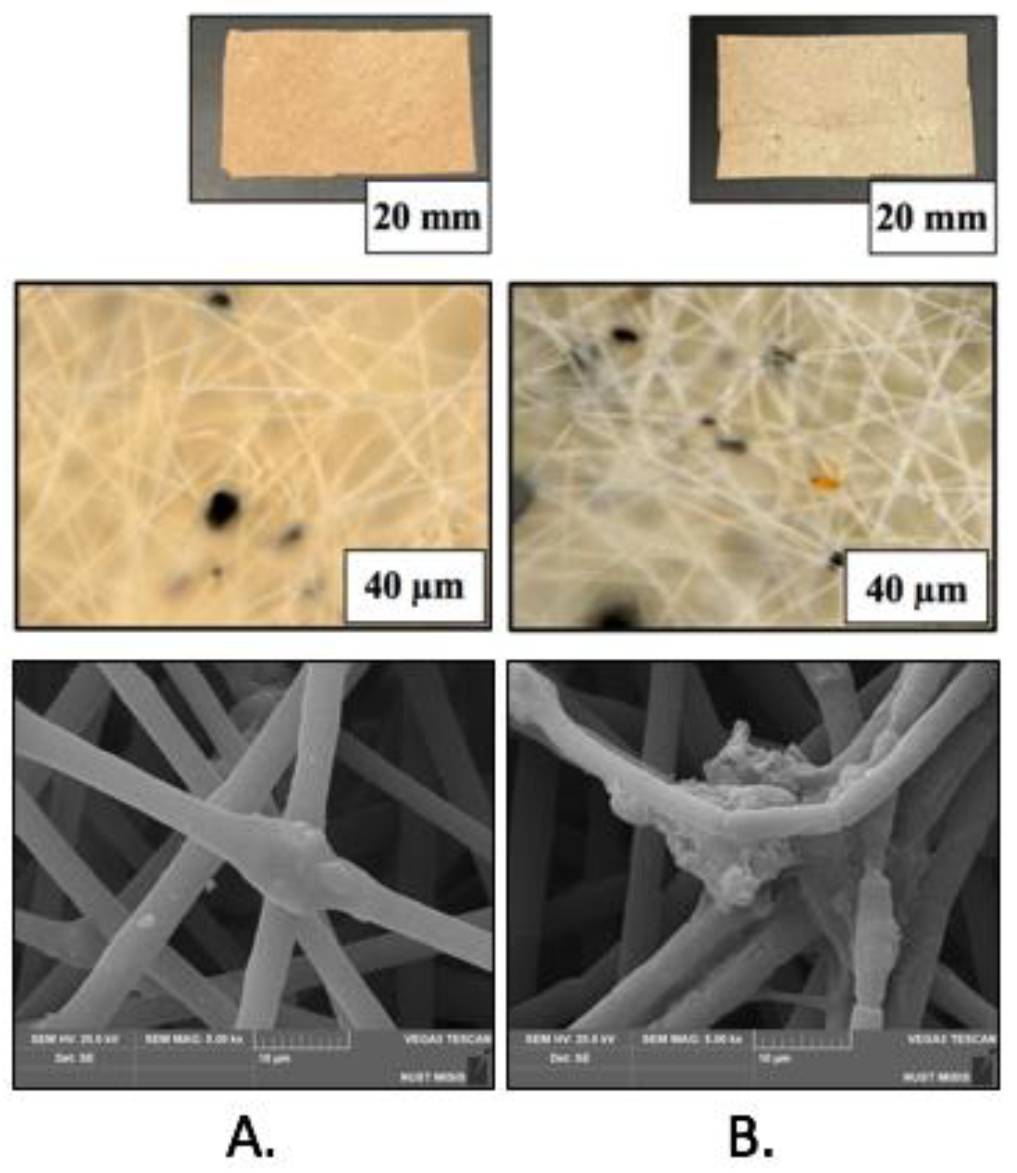 Polymers 14 04878 g008