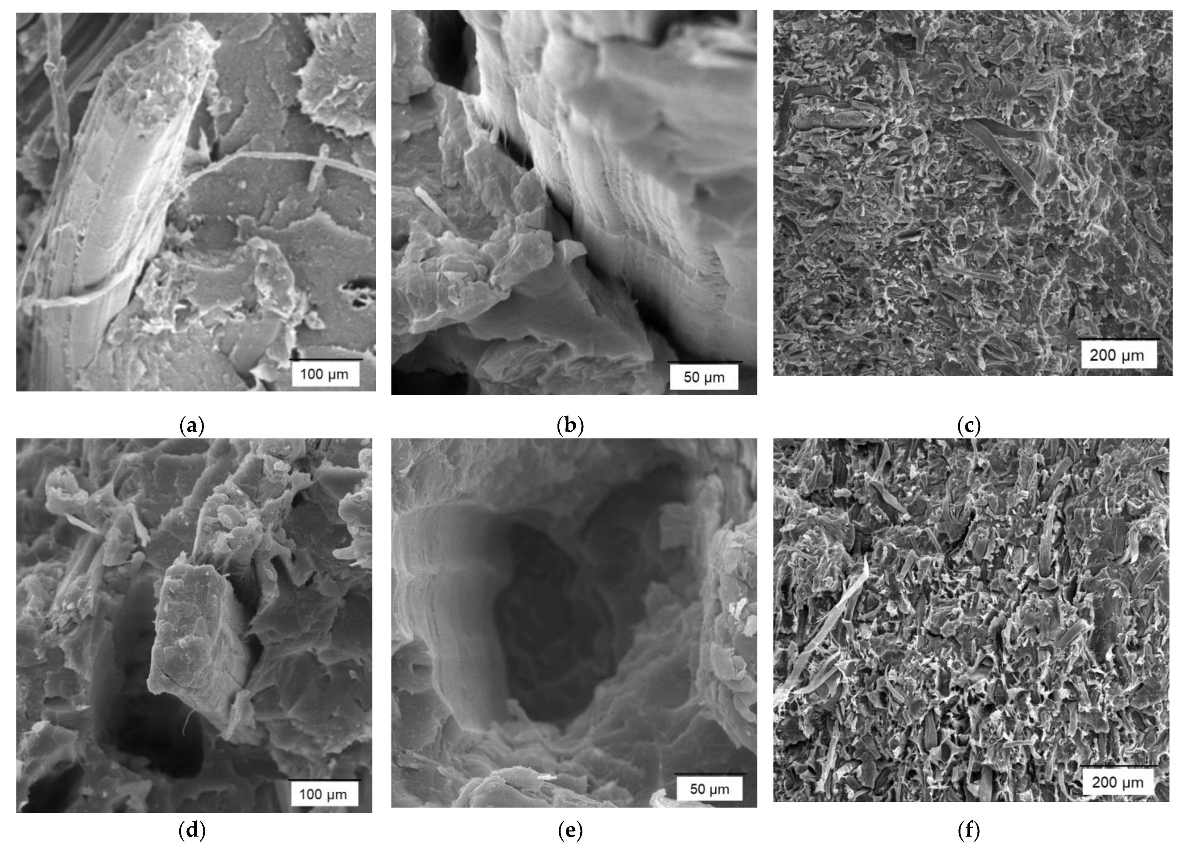 Polymers 14 04890 g002