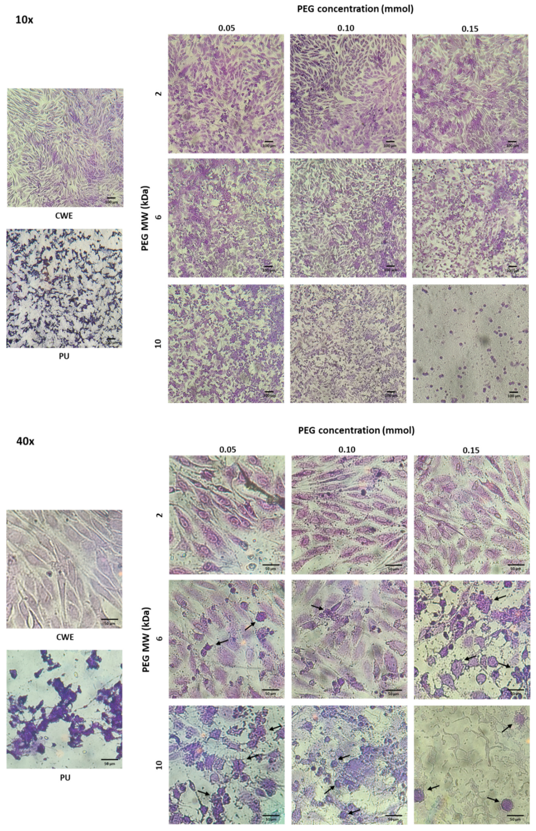 Polymers 14 04912 g007 Polymers 14 04912 g007