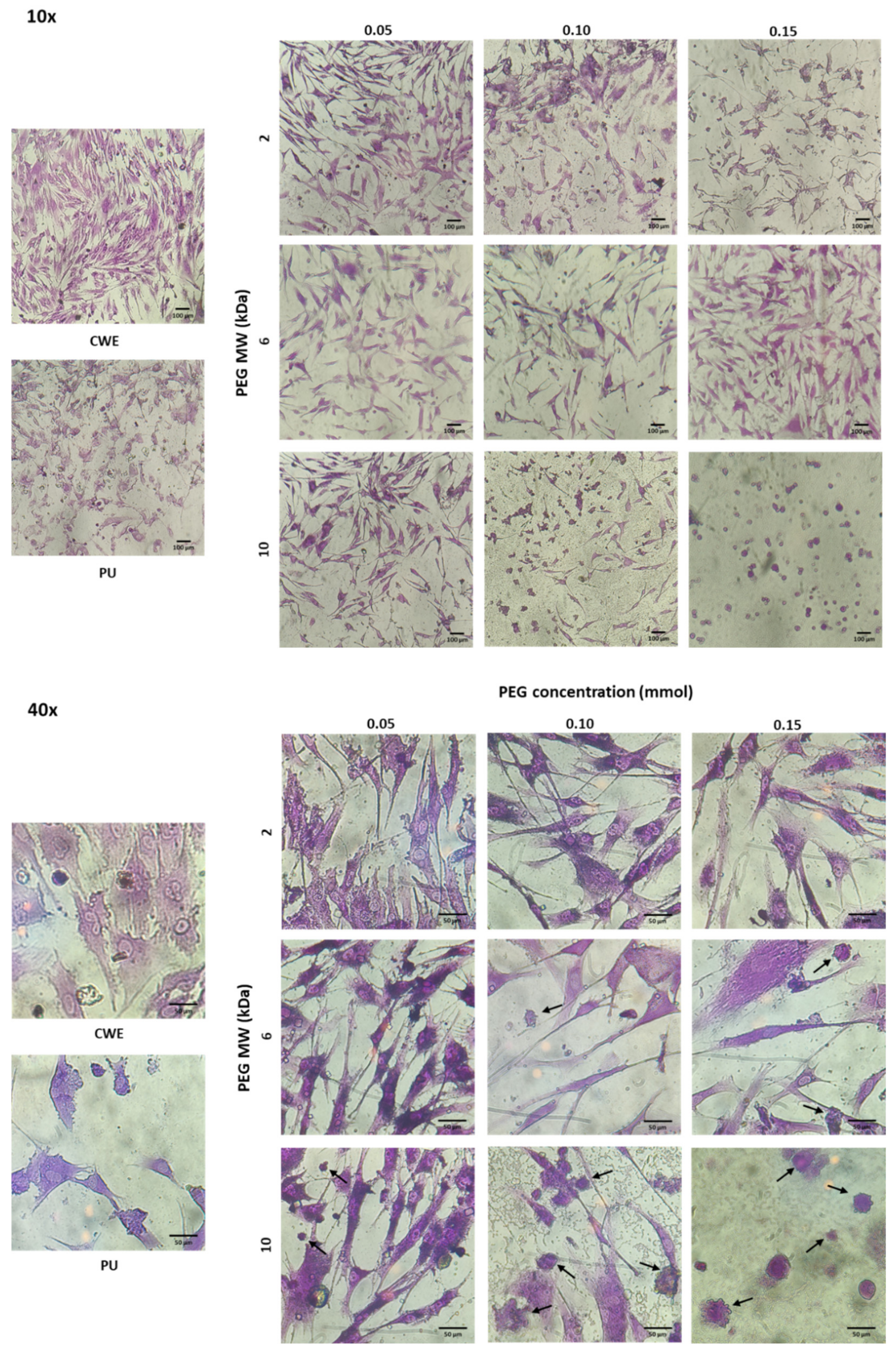 Polymers 14 04912 g008 Polymers 14 04912 g008