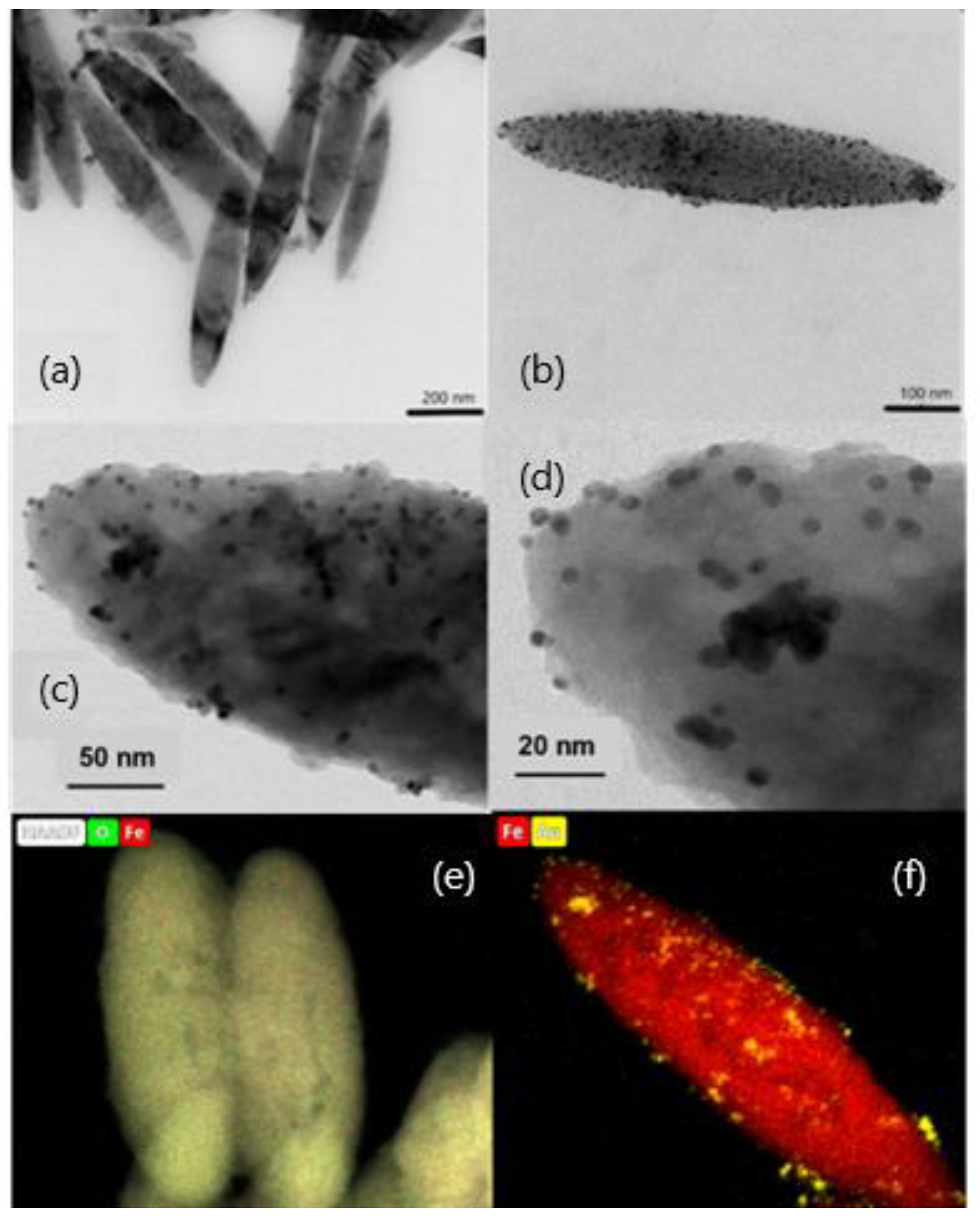 Polymers | Free Full-Text | Combined Magnetic Hyperthermia and Photothermia  with Polyelectrolyte/Gold-Coated Magnetic Nanorods
