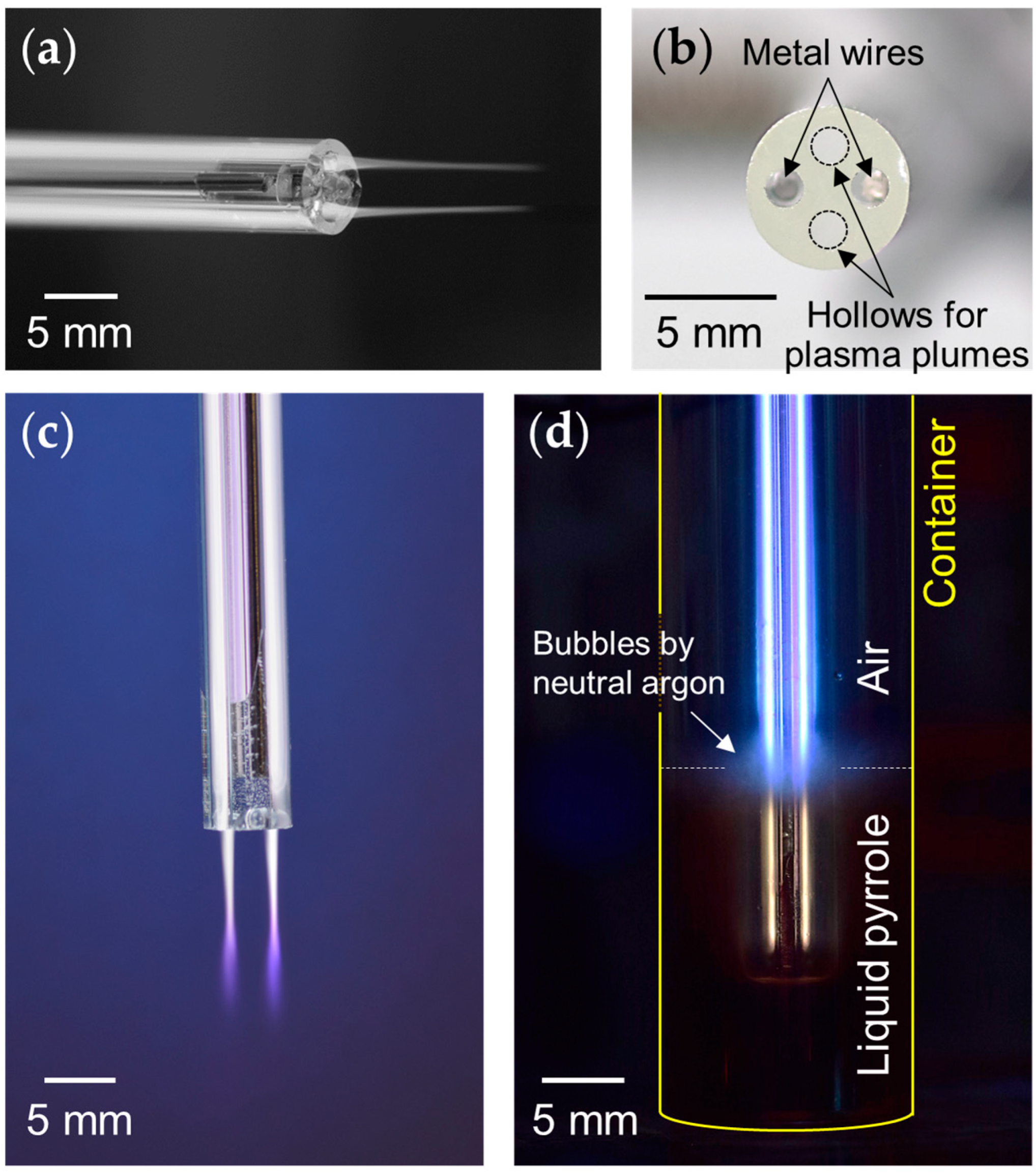 Polymers 14 04917 g002