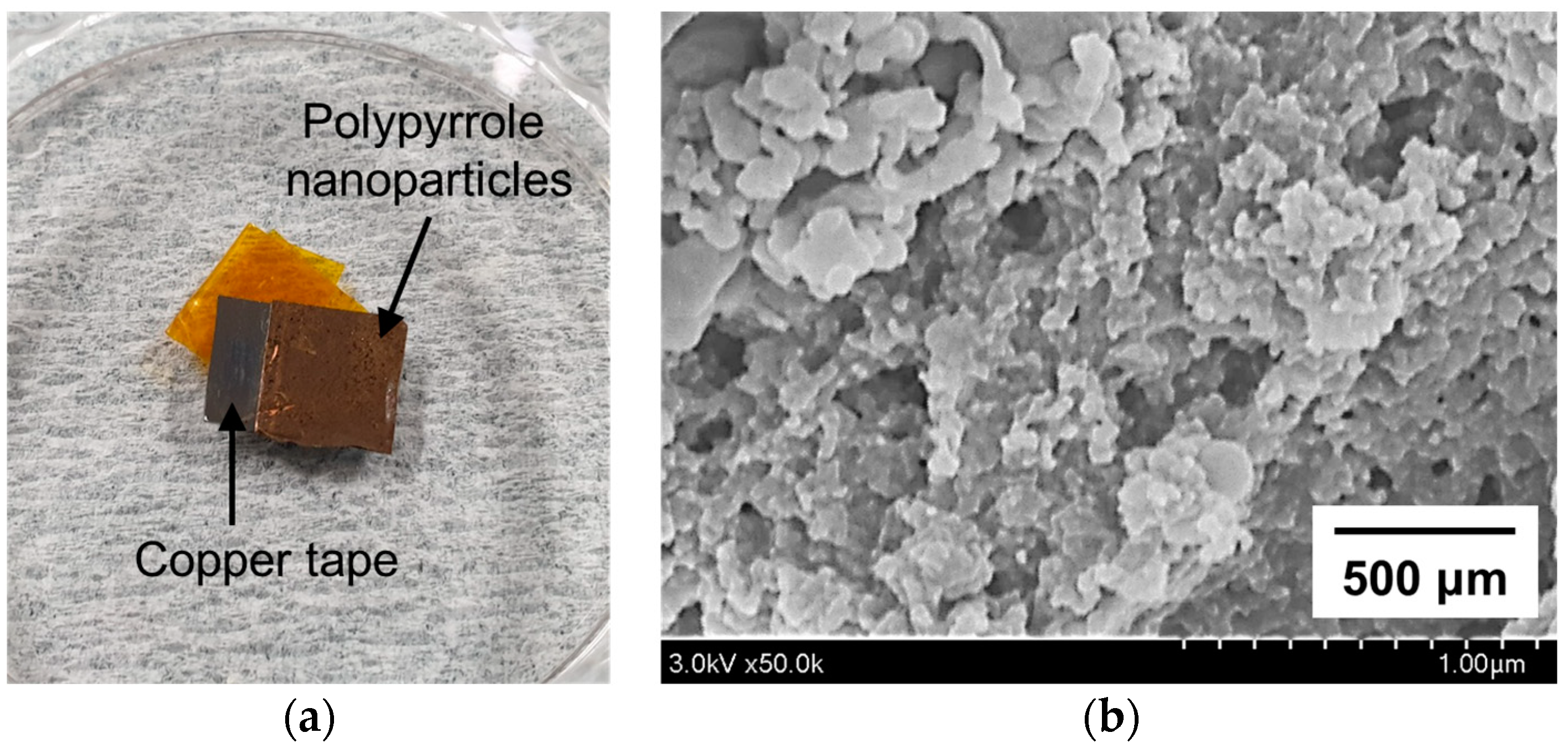 Polymers 14 04917 g009