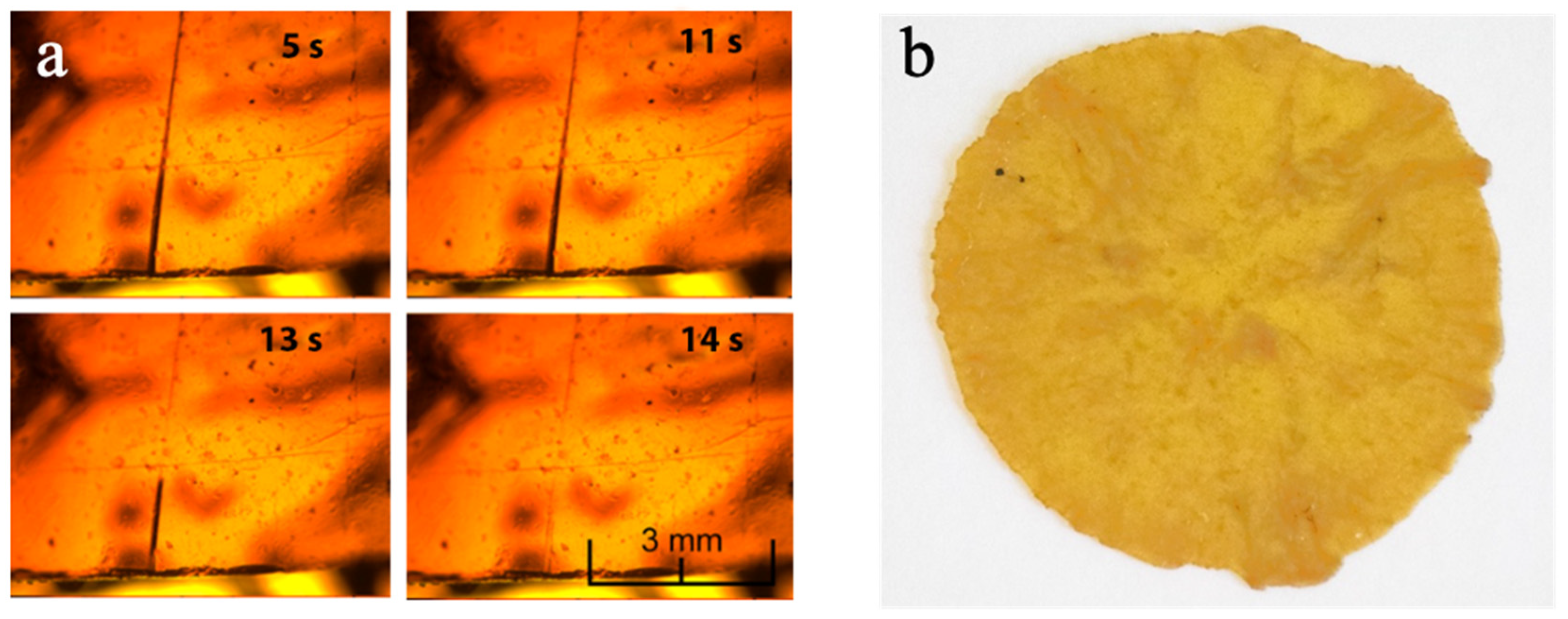 Polymers 14 04919 g004 Polymers 14 04919 g004