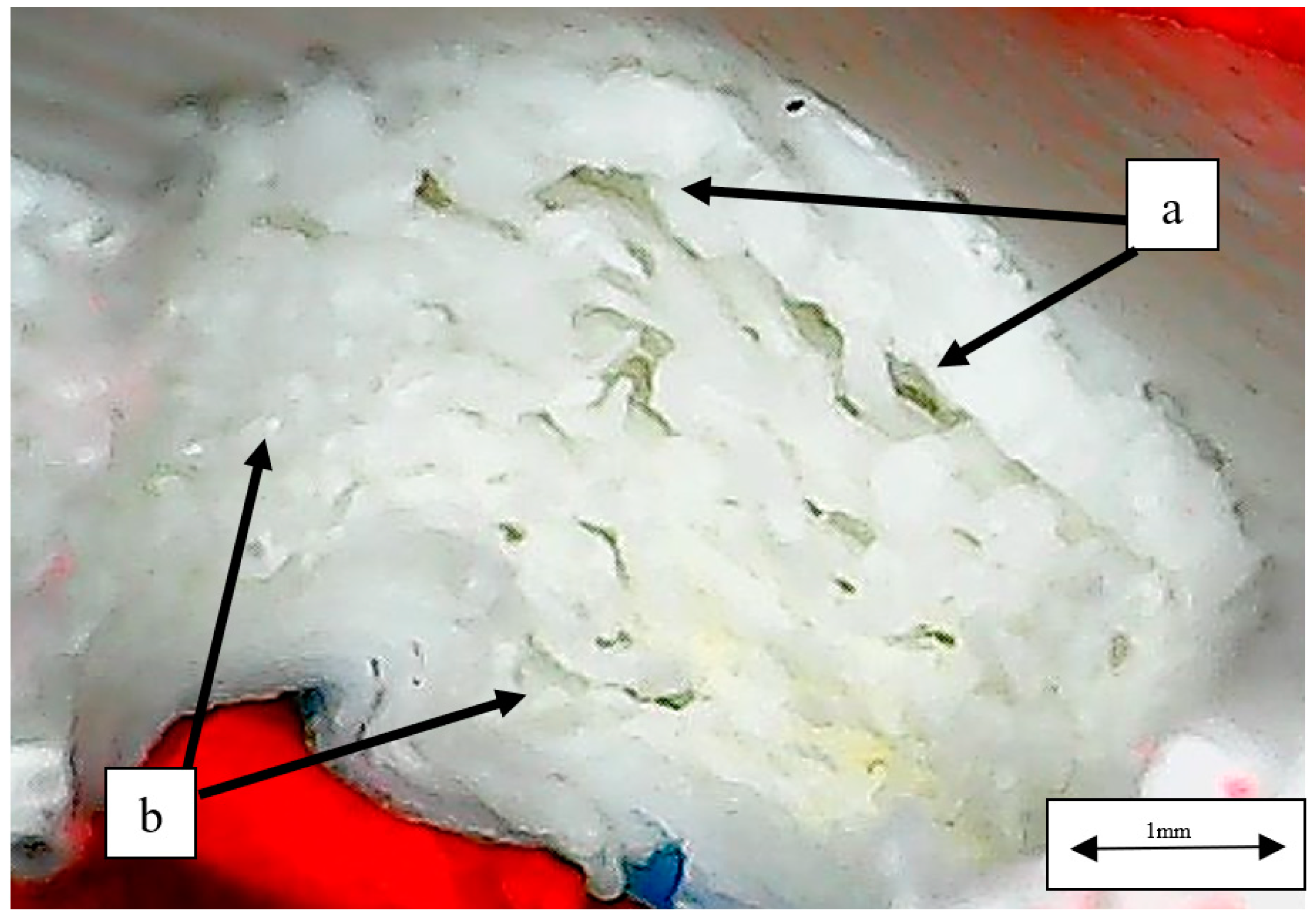Polymers 14 04925 g011 Polymers 14 04925 g011