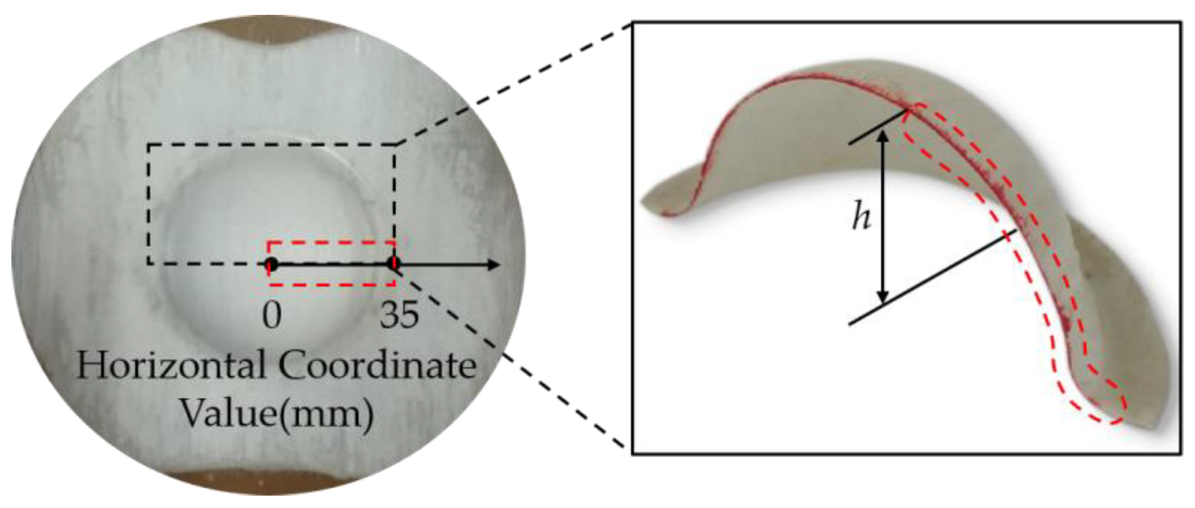 Polymers 14 04935 g002 Polymers 14 04935 g002