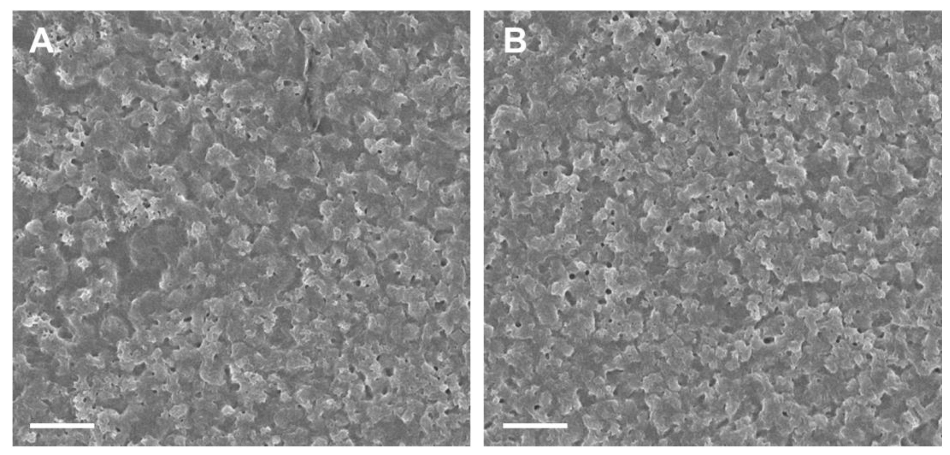 Polymers 14 04936 g001