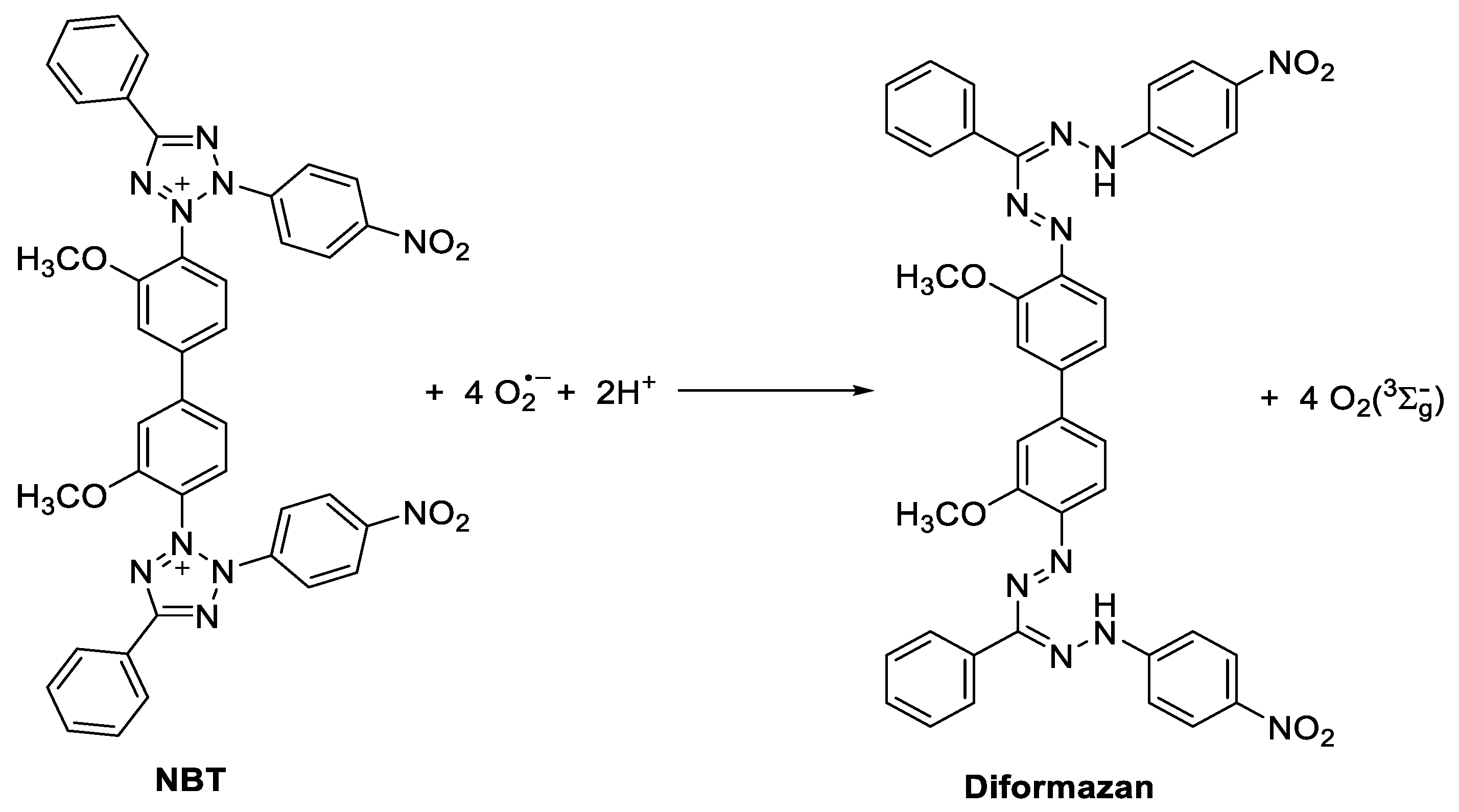 Polymers 14 04936 sch004