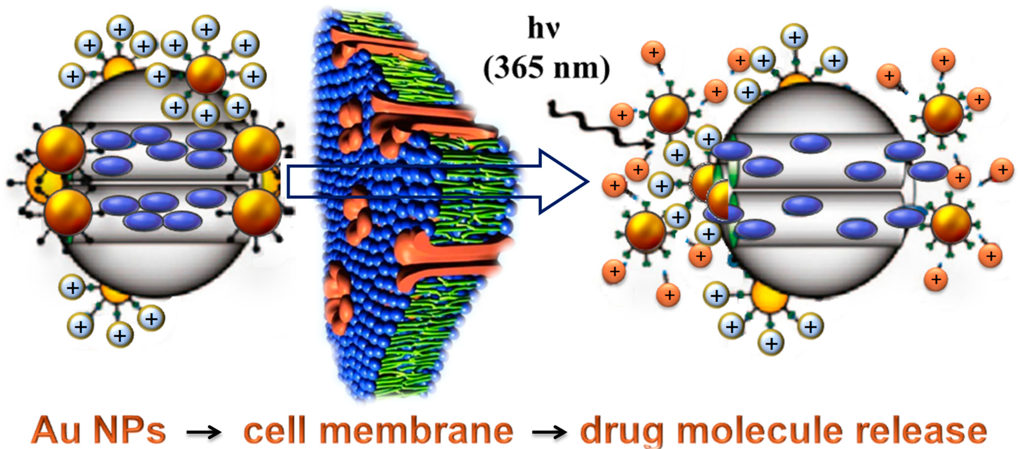 Polymers 14 04961 g001 Polymers 14 04961 g001