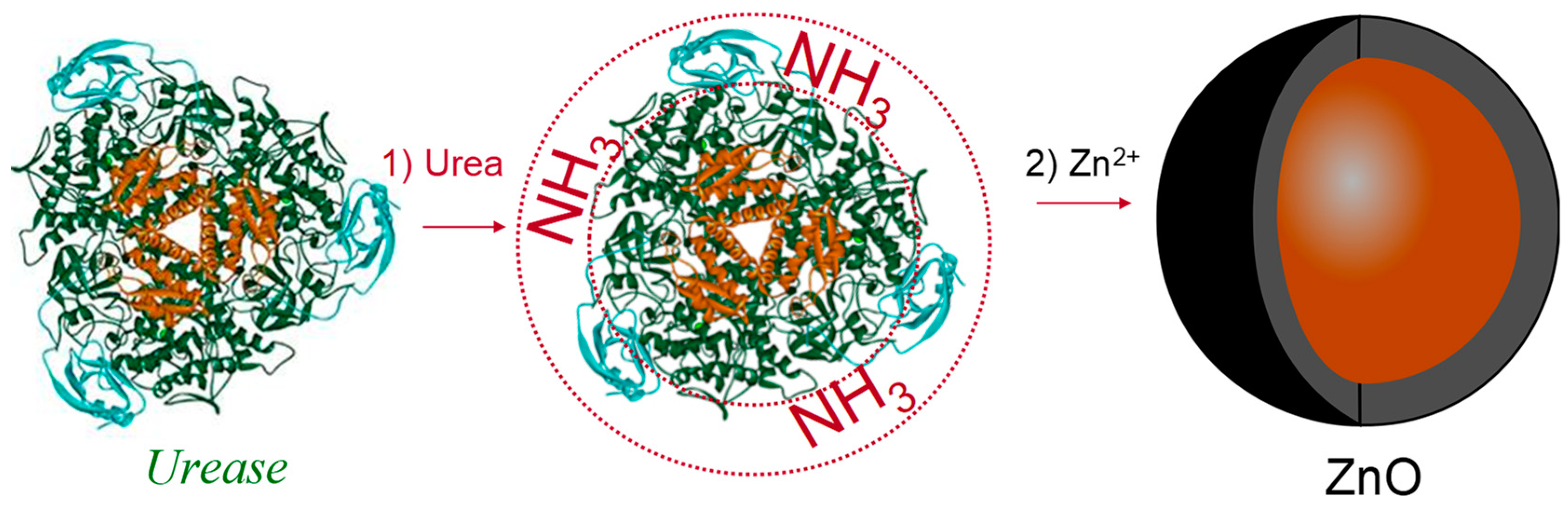 Polymers 14 04961 g003 Polymers 14 04961 g003