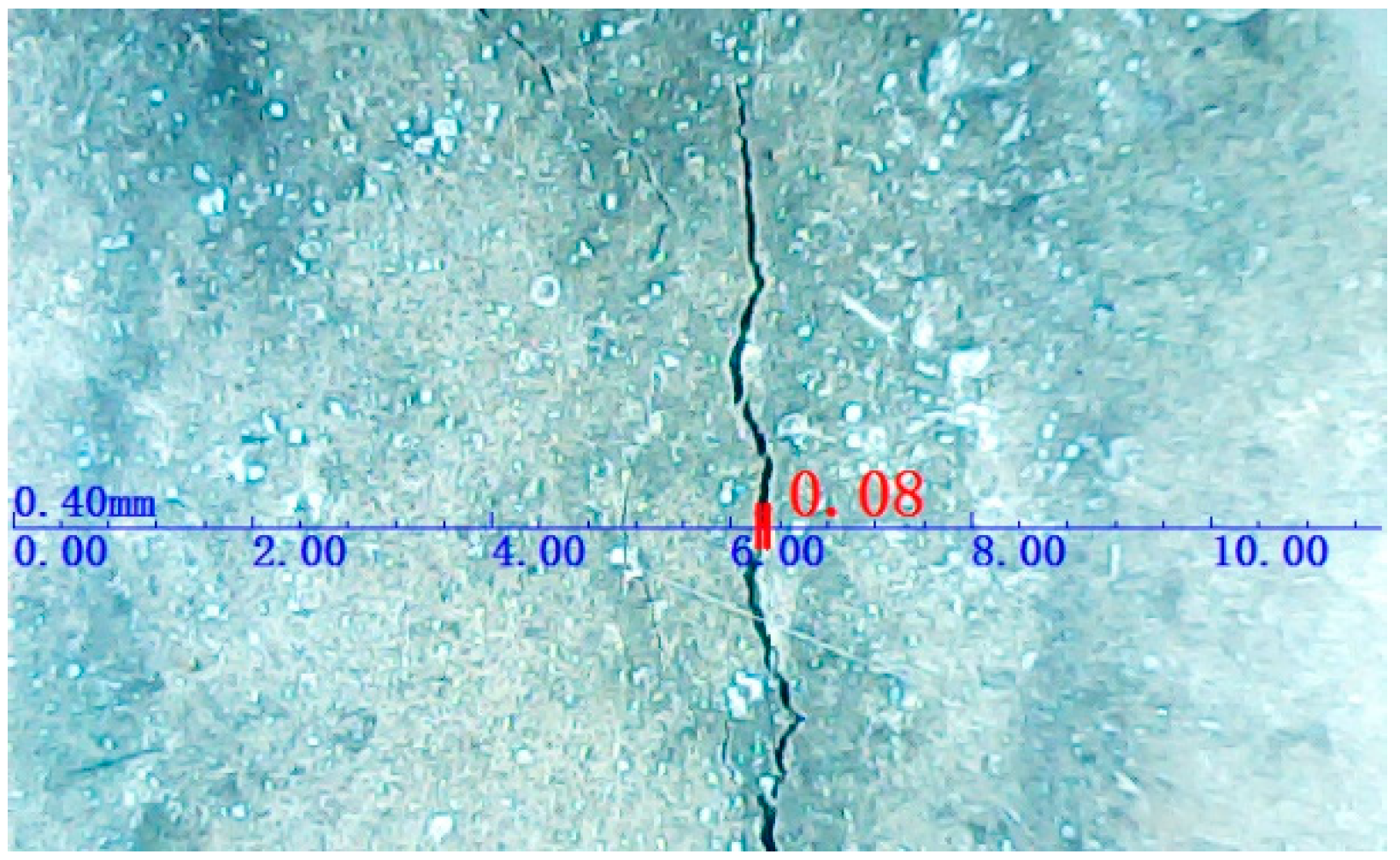 Polymers 14 04969 g007 Polymers 14 04969 g007