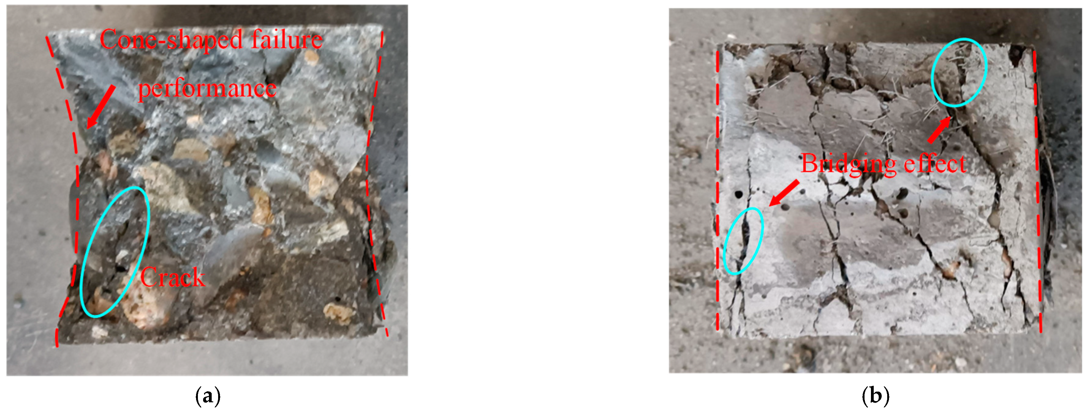 Polymers 14 04969 g012 Polymers 14 04969 g012