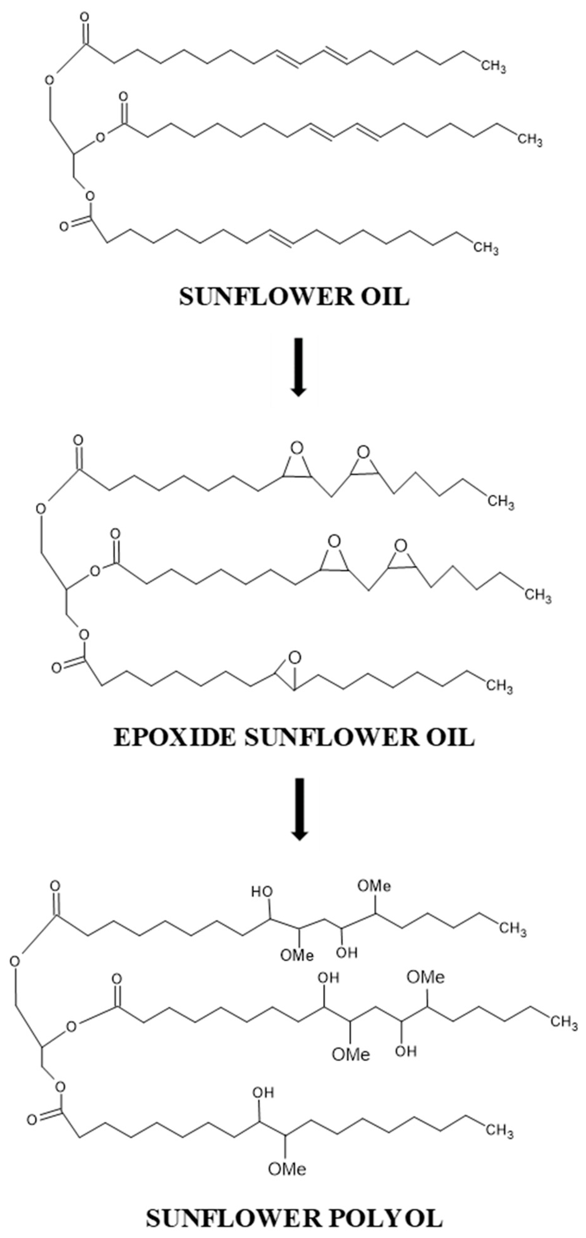 Polymers 14 04974 sch001 Polymers 14 04974 sch001
