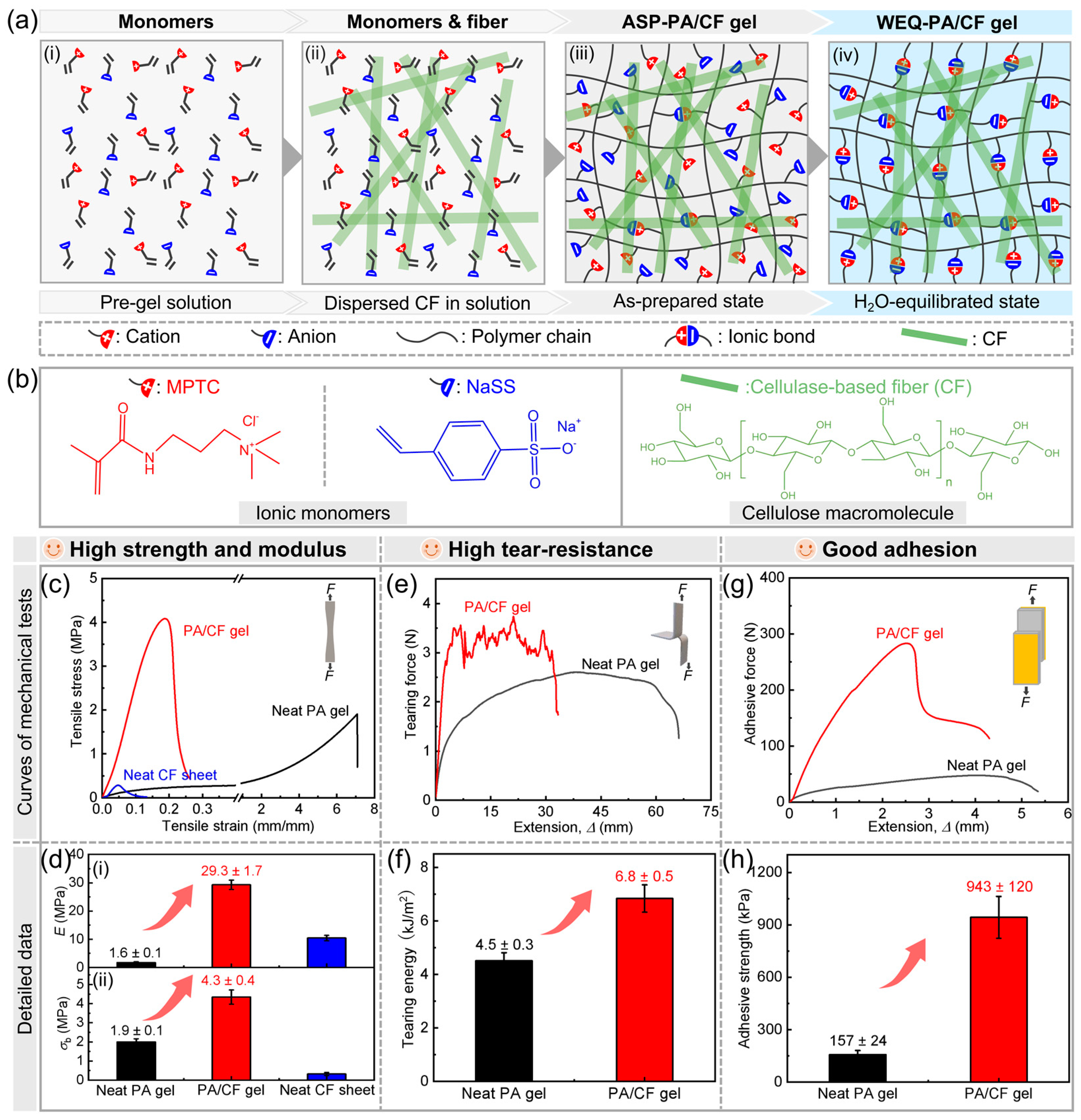 Polymers 14 04984 g001