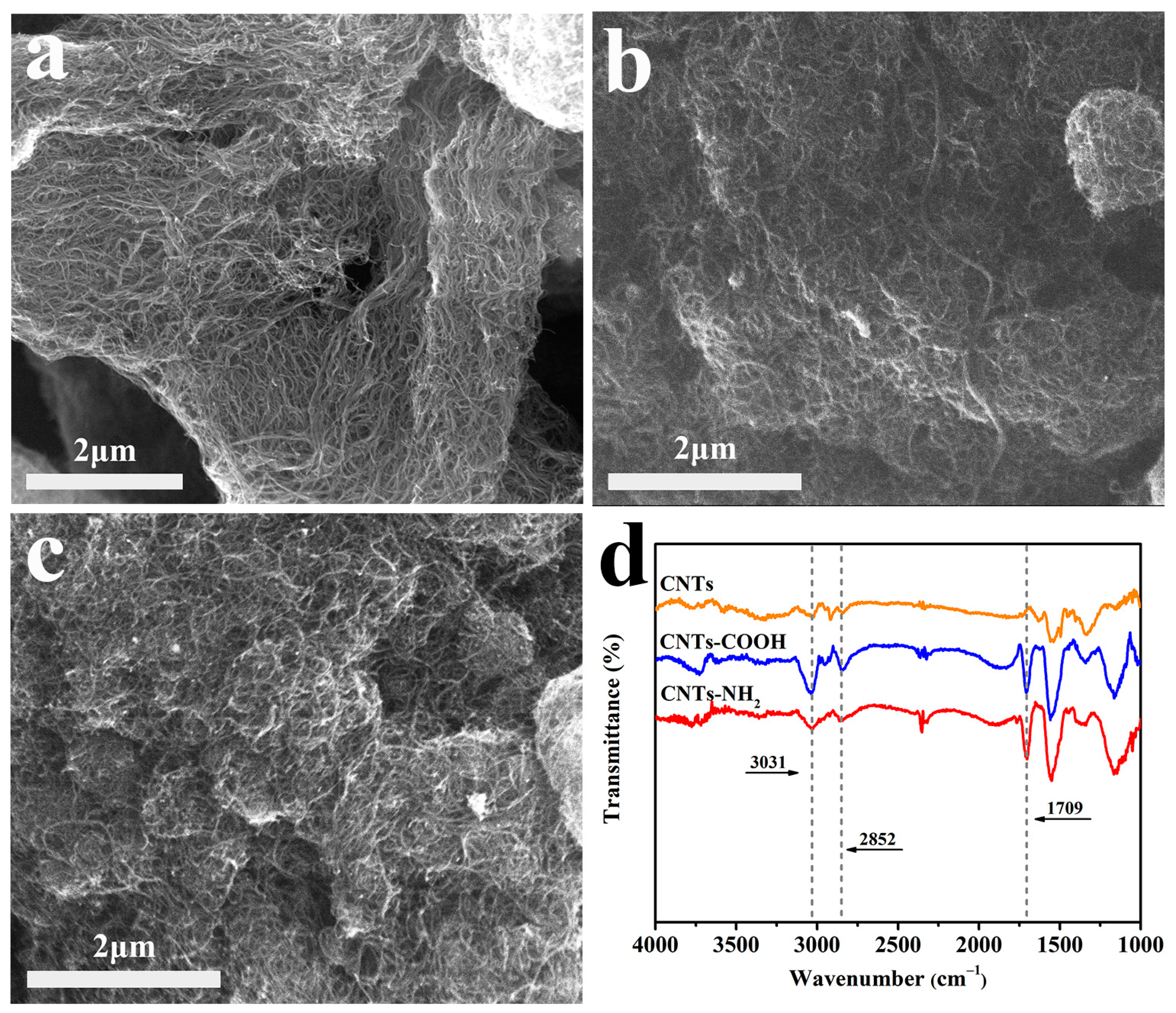 Polymers 14 04989 g002 Polymers 14 04989 g002