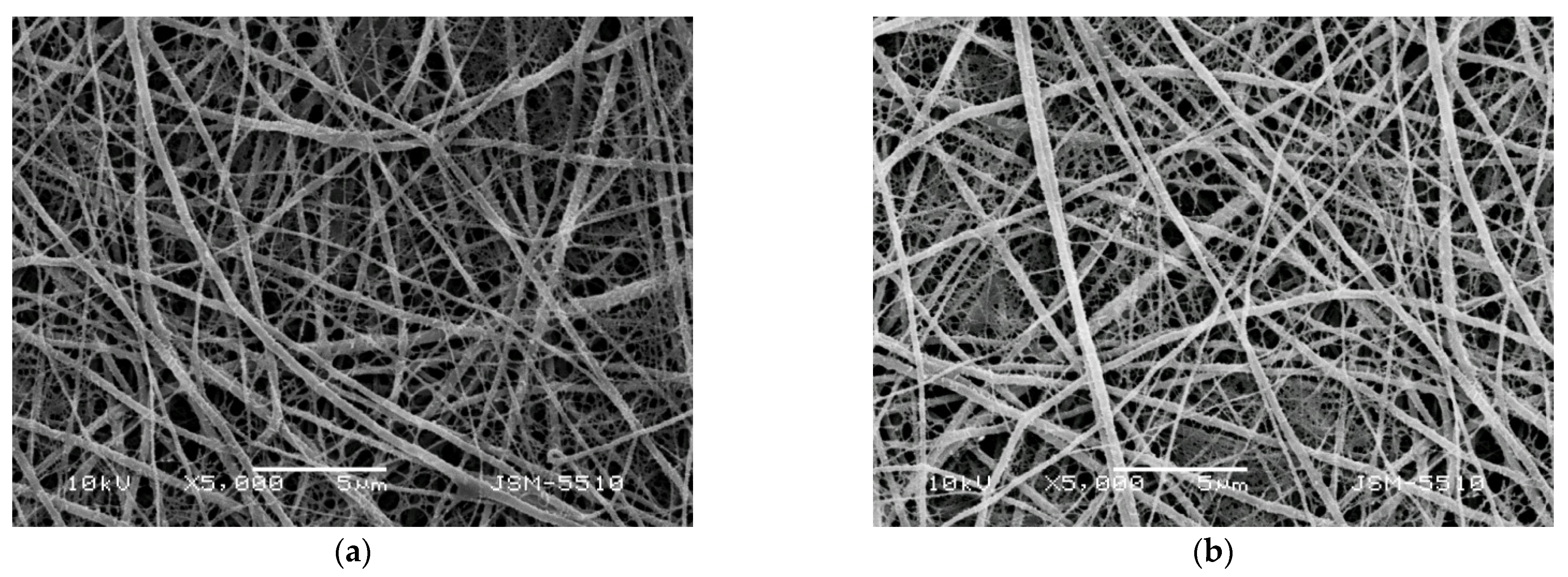 Polymers 14 05002 g002 Polymers 14 05002 g002