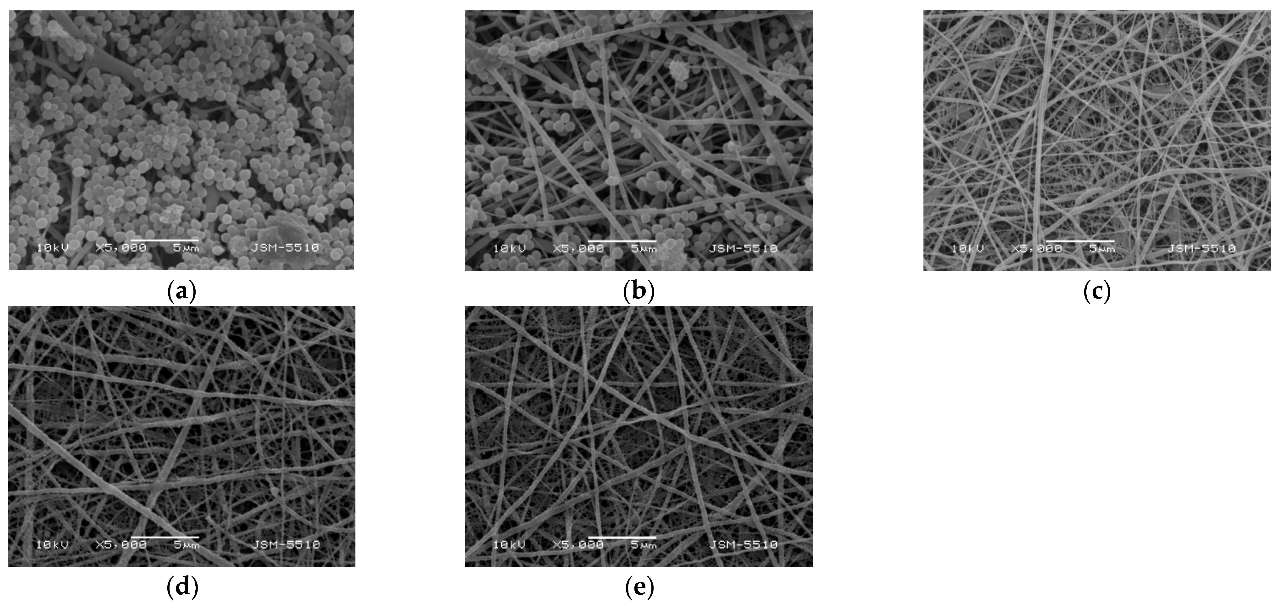 Polymers 14 05002 g010 Polymers 14 05002 g010