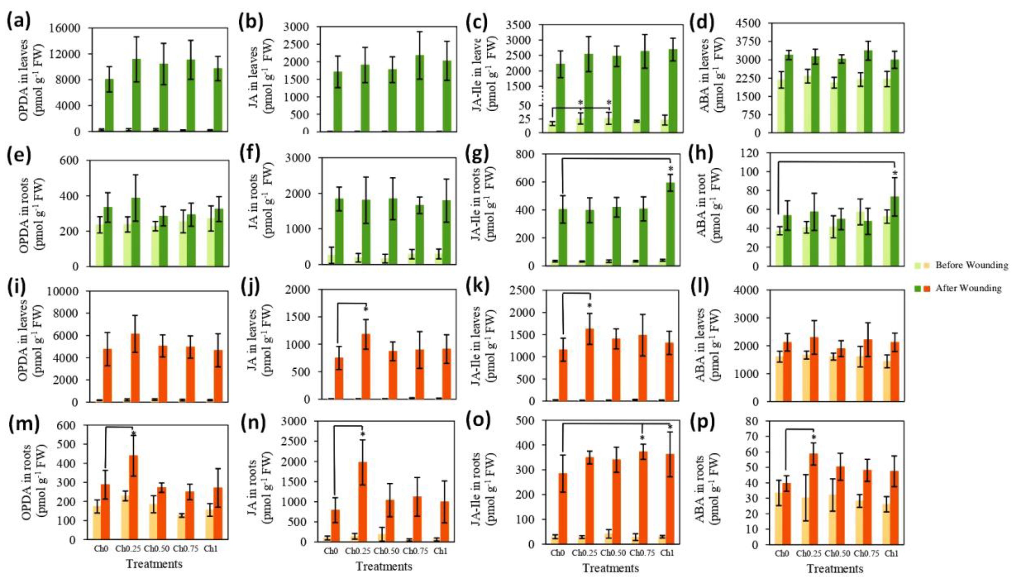 Polymers 14 05006 g004