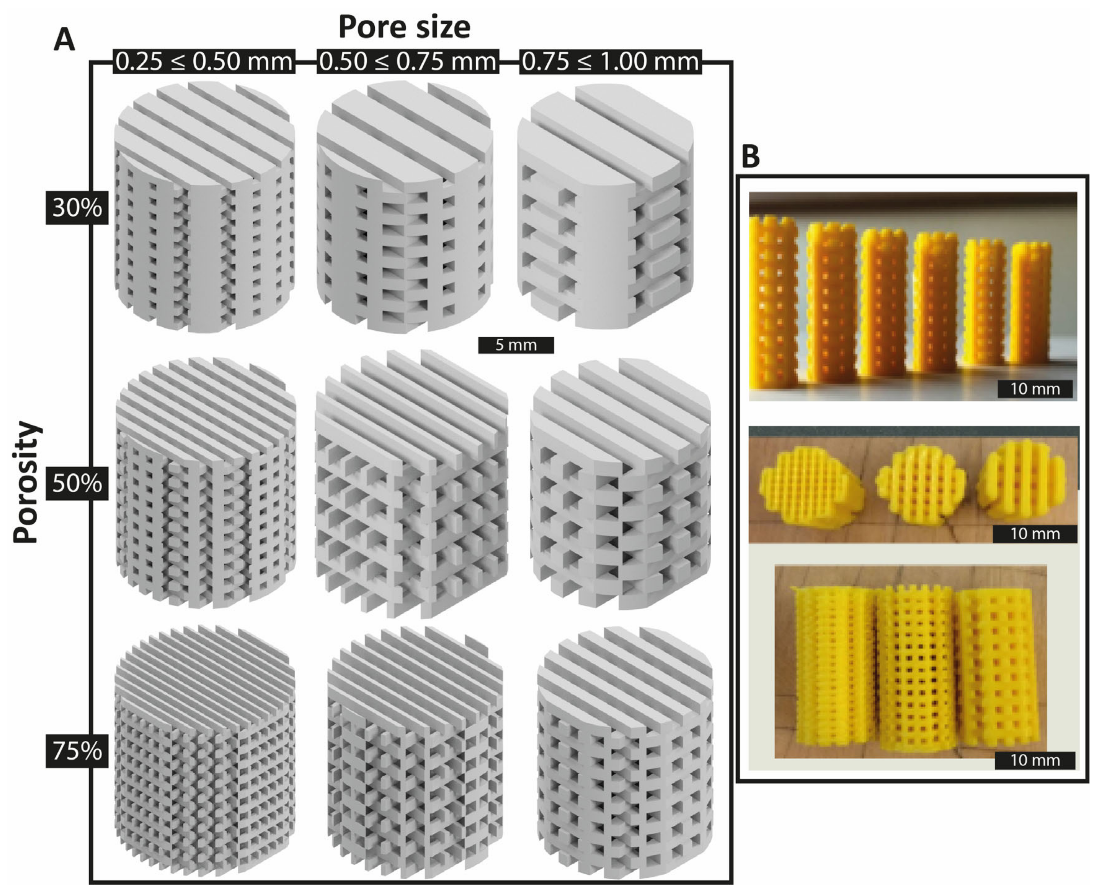 Polymers 14 05017 g002
