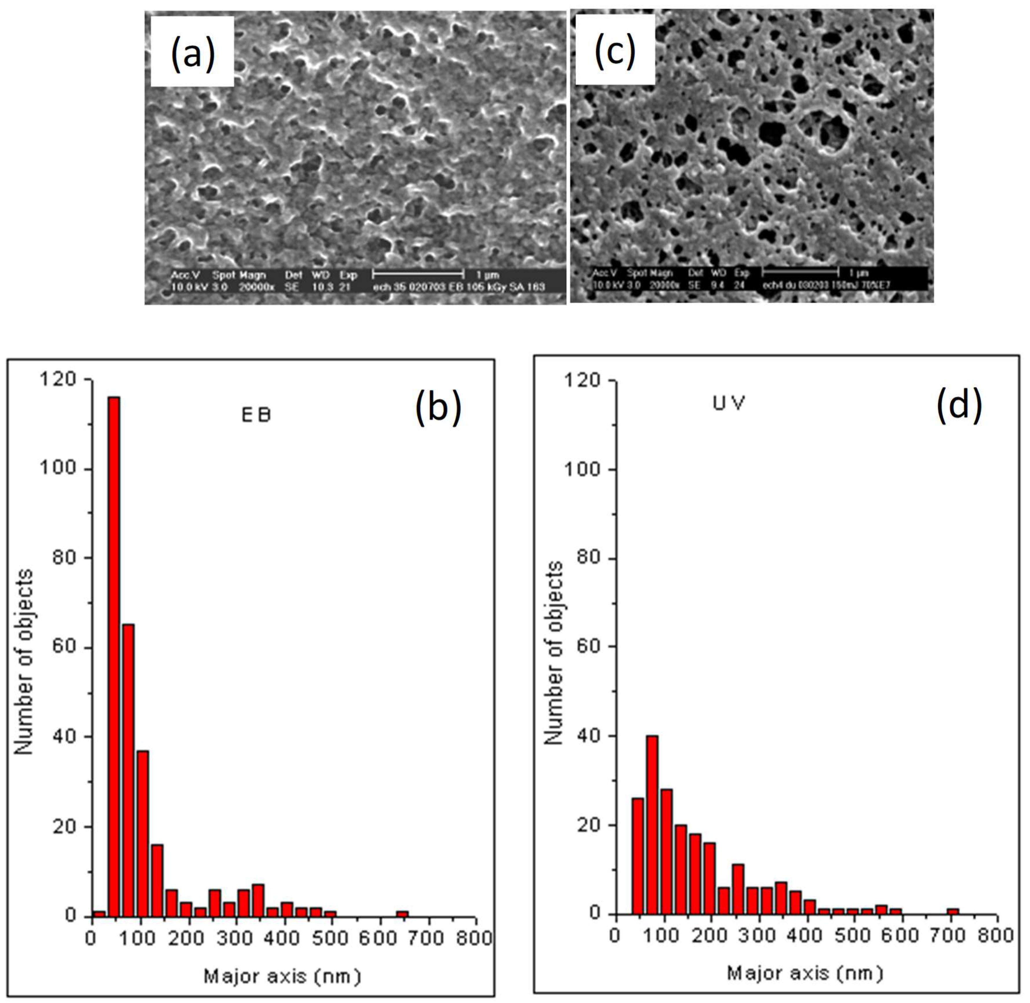 Polymers 14 05024 g007