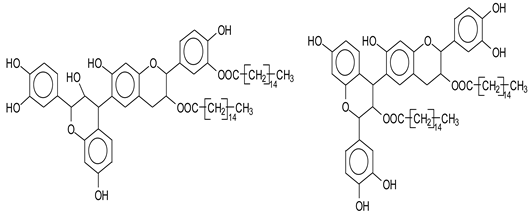 Polymers 14 05025 i007