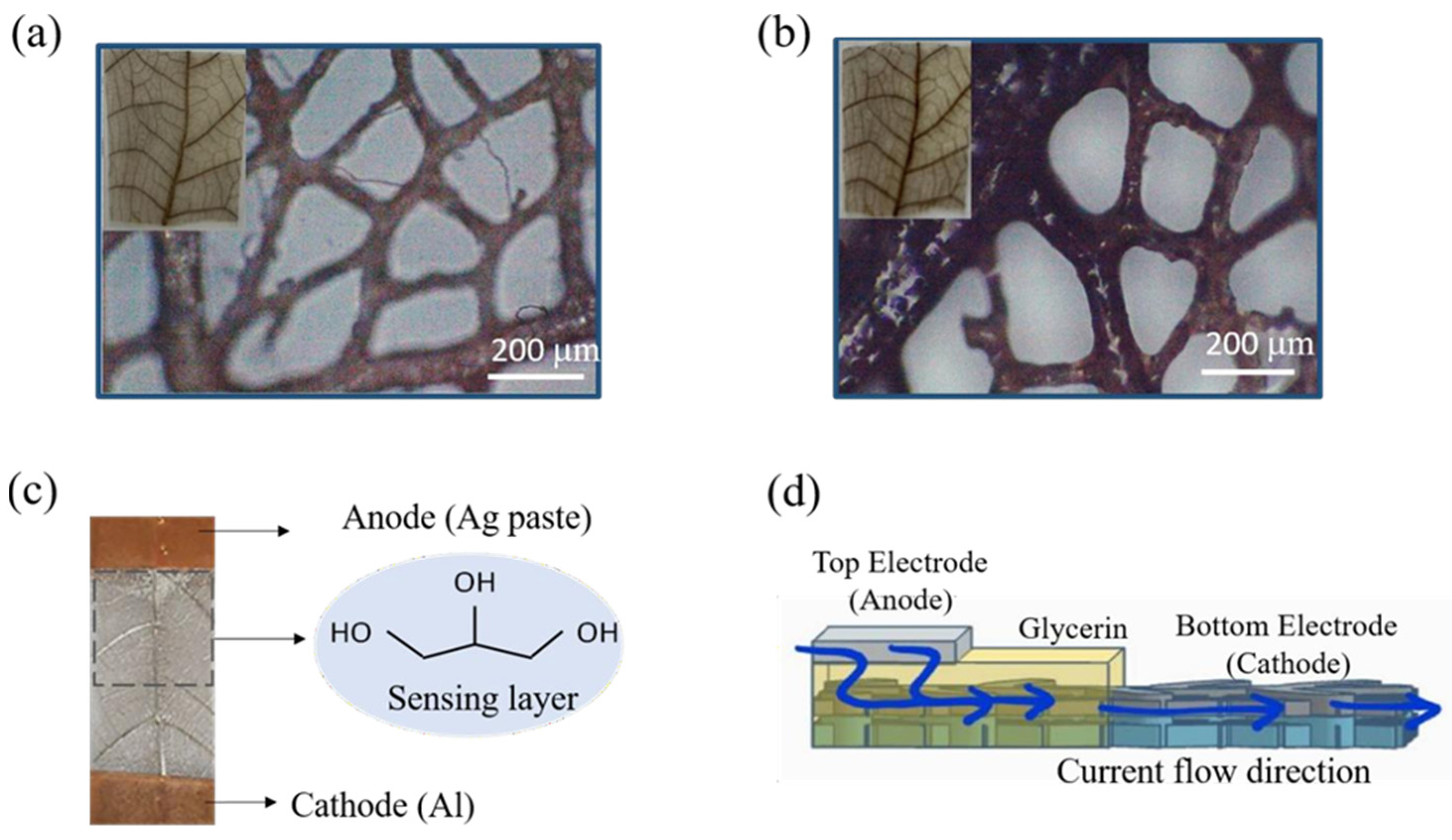 Polymers 14 05030 g002