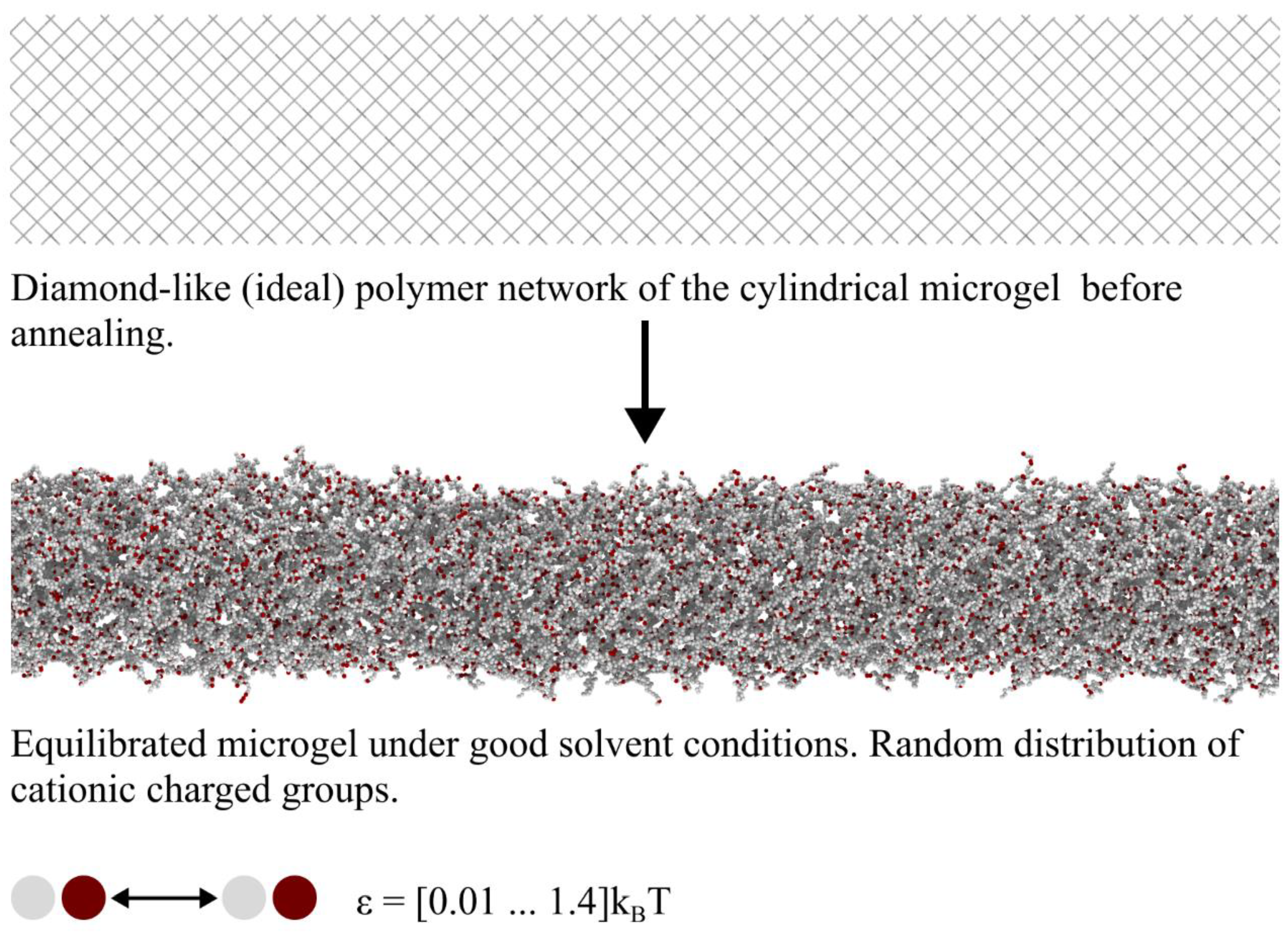 Polymers 14 05031 g001 Polymers 14 05031 g001