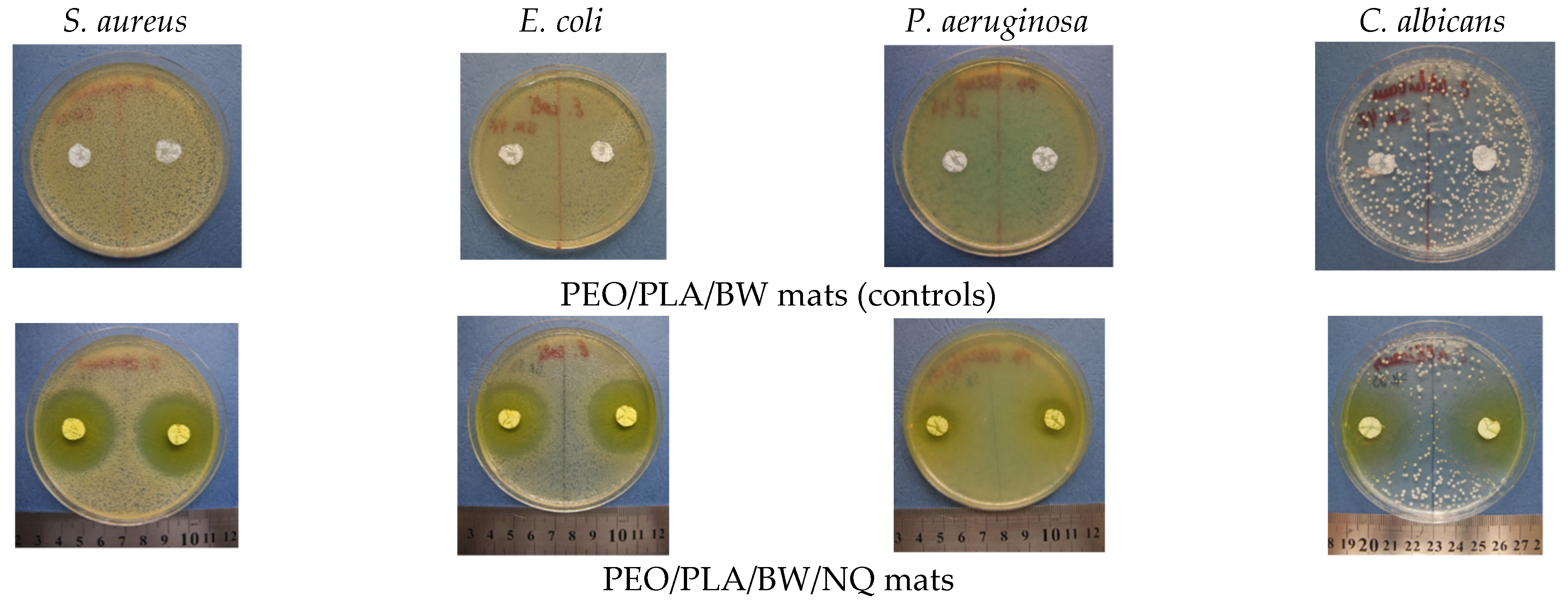 Polymers 14 05036 g010 Polymers 14 05036 g010