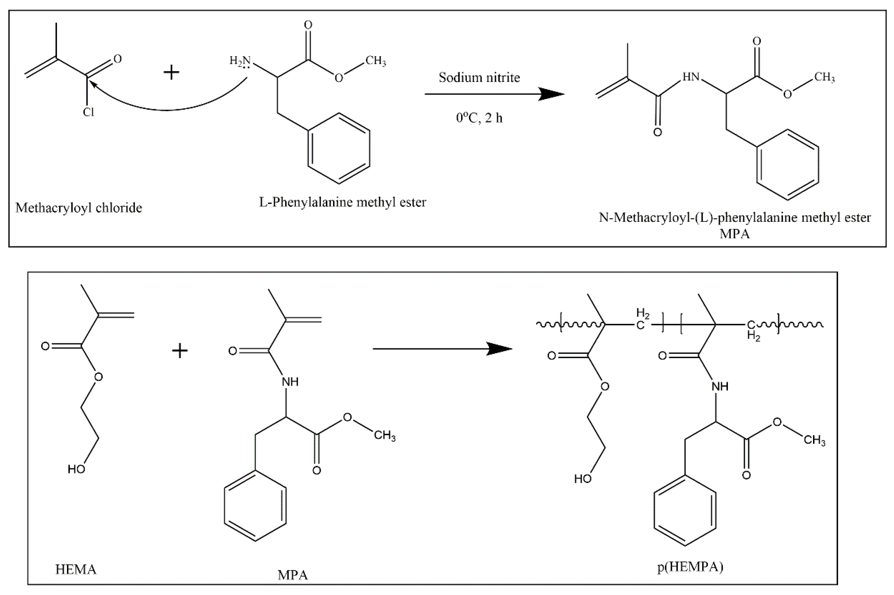 Polymers 14 05038 g001 Polymers 14 05038 g001