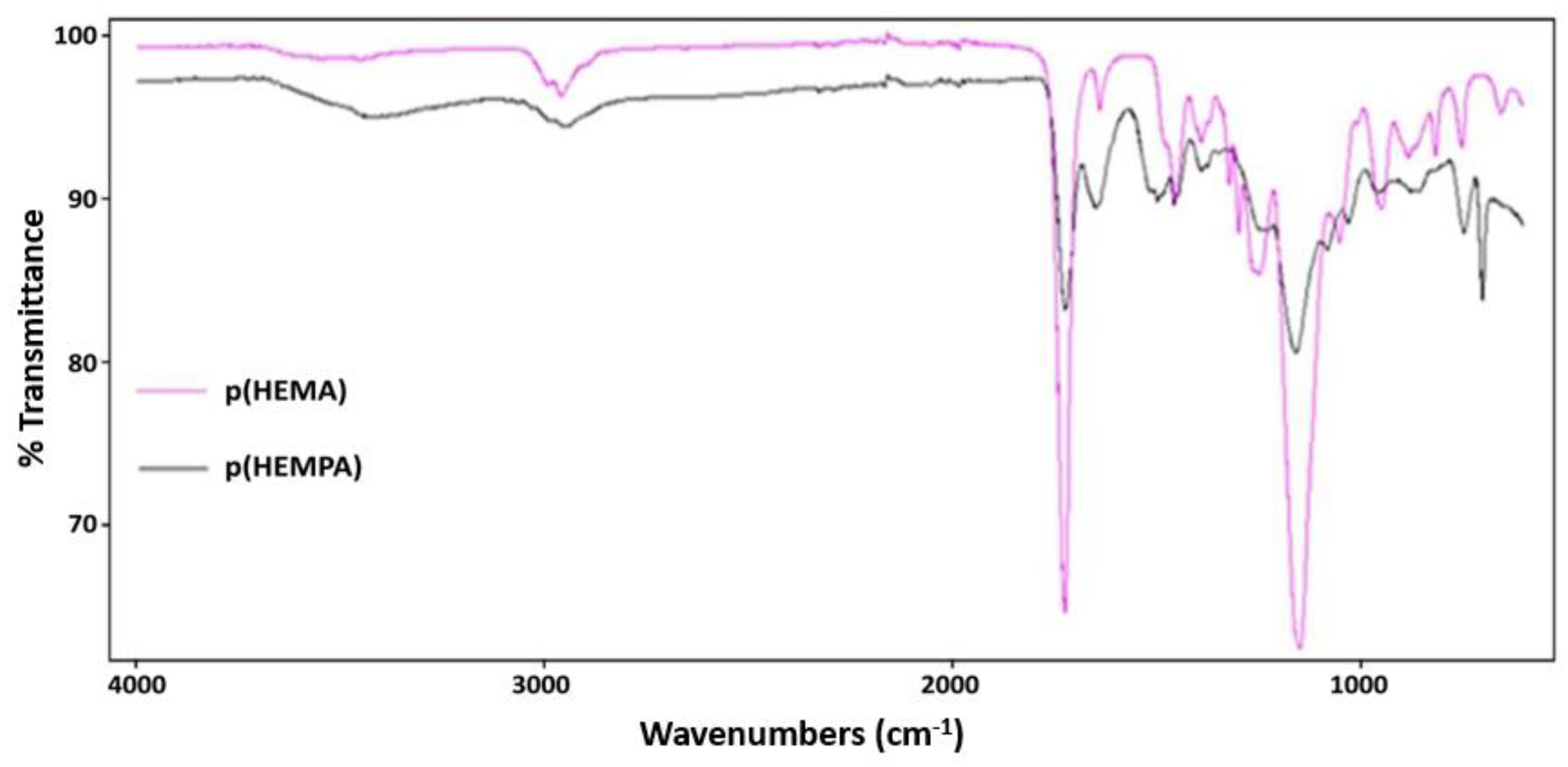 Polymers 14 05038 g002 Polymers 14 05038 g002