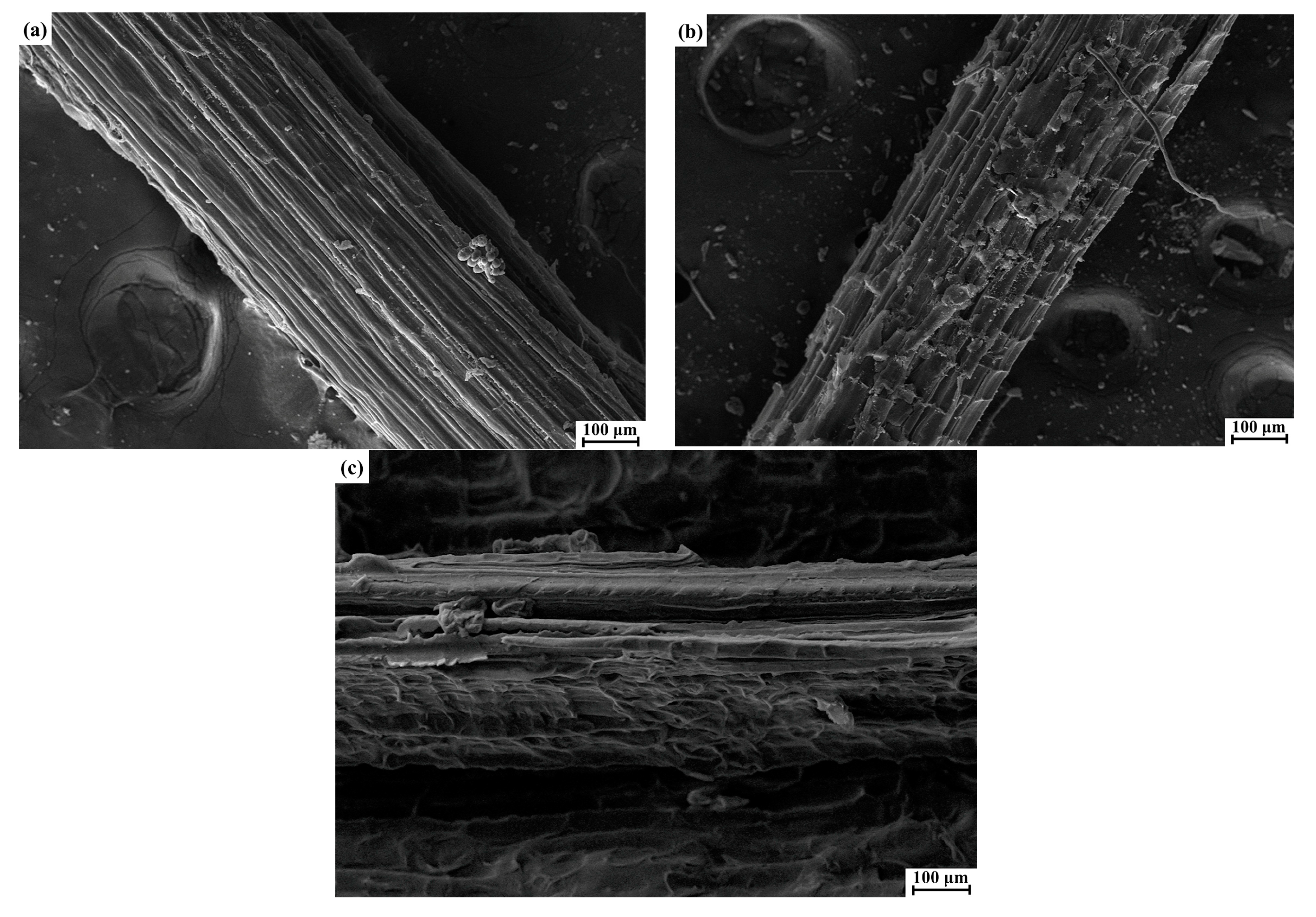 Polymers 14 05041 g002 Polymers 14 05041 g002