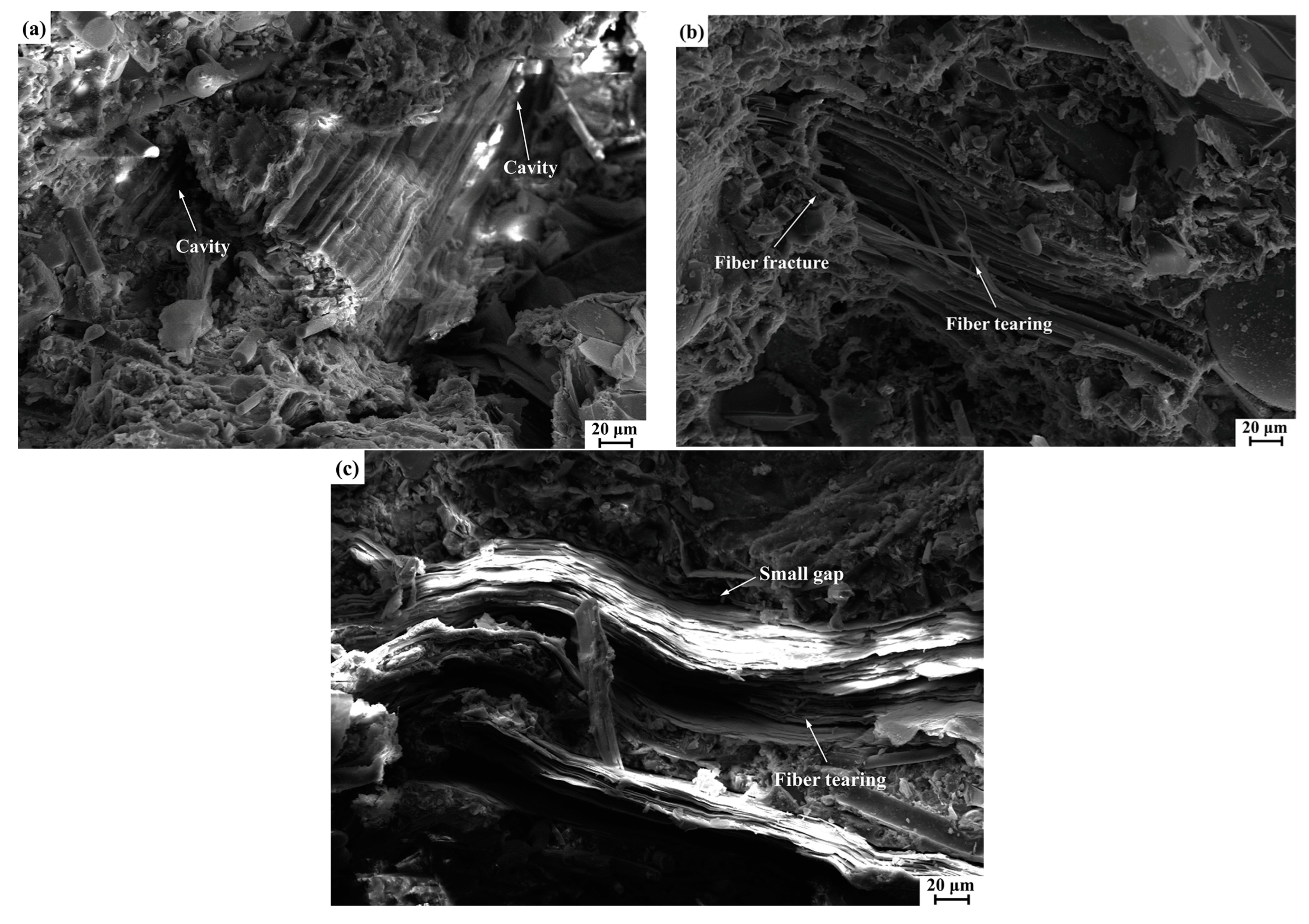 Polymers 14 05041 g010 Polymers 14 05041 g010
