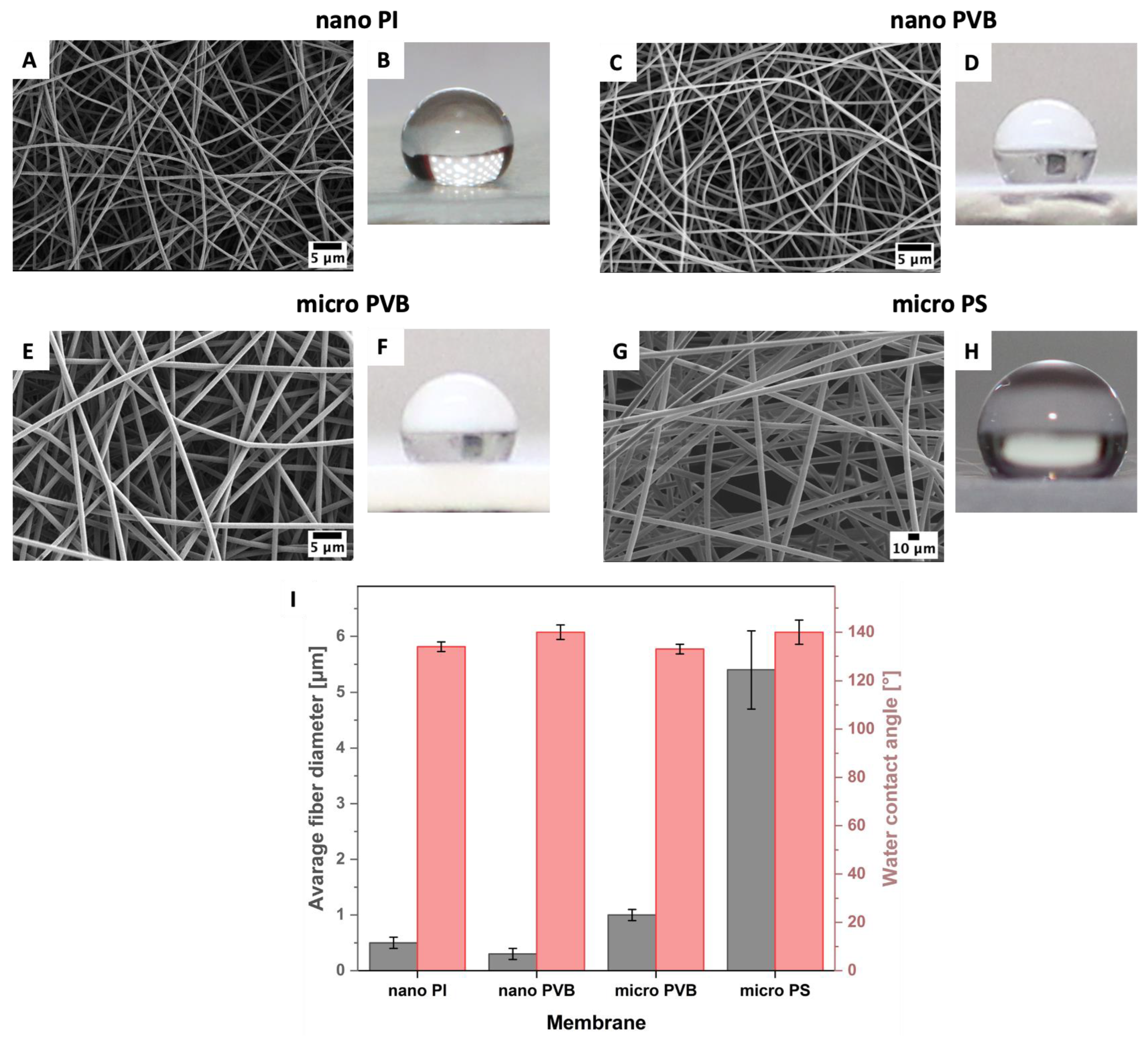 Polymers 14 05043 g002