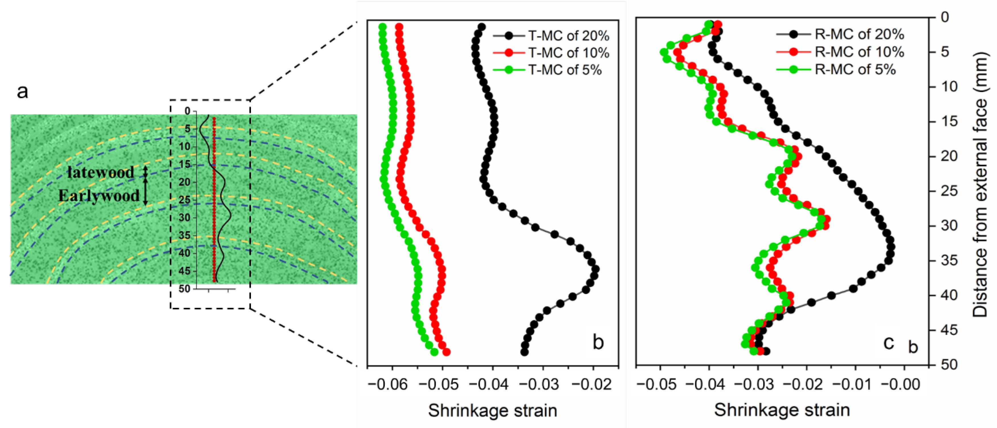 Polymers 14 05045 g004 Polymers 14 05045 g004