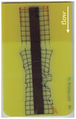 Polymers 14 05060 i002