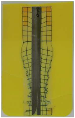 Polymers 14 05060 i006