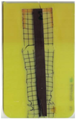 Polymers 14 05060 i009