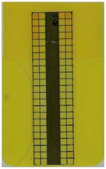 Polymers 14 05060 i014