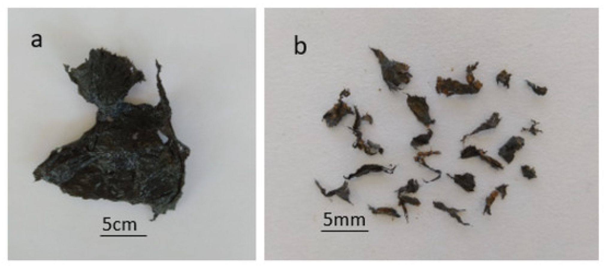 Polymers 14 05062 g005 Polymers 14 05062 g005
